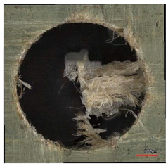 Polymers 16 02620 i011