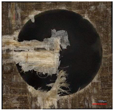 Polymers 16 02620 i012