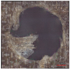 Polymers 16 02620 i015