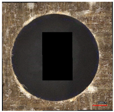 Polymers 16 02620 i016