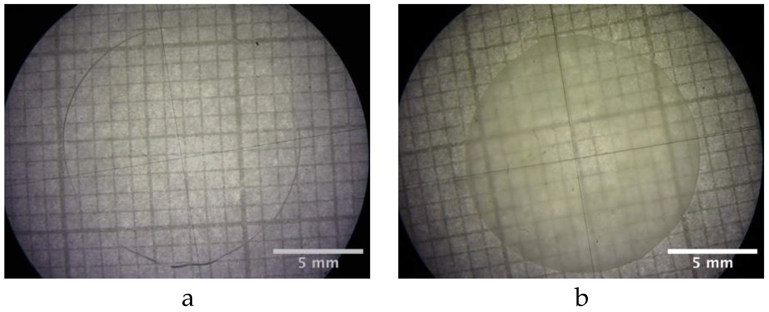 Polymers 16 02621 g001