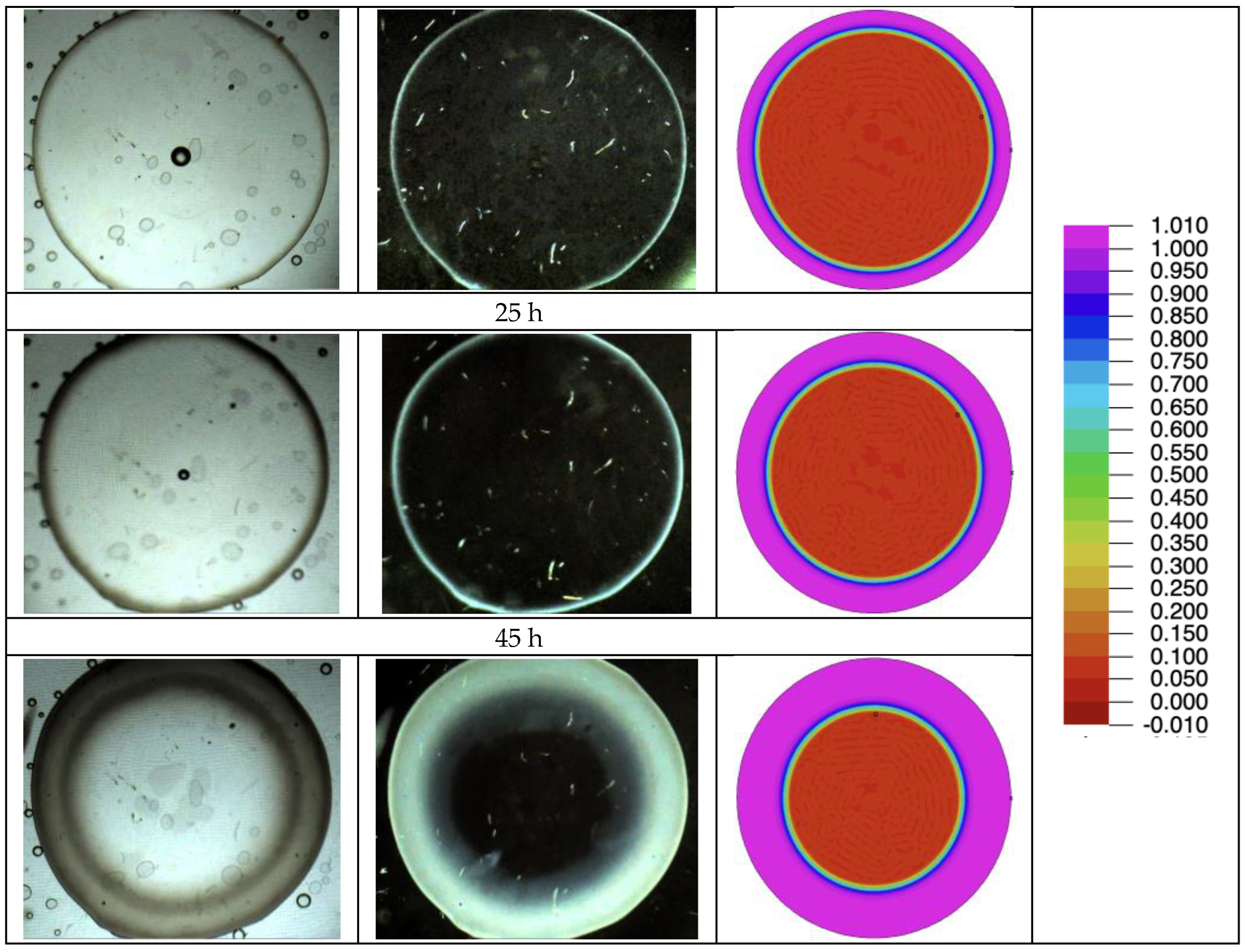 Polymers 16 02621 g004a
