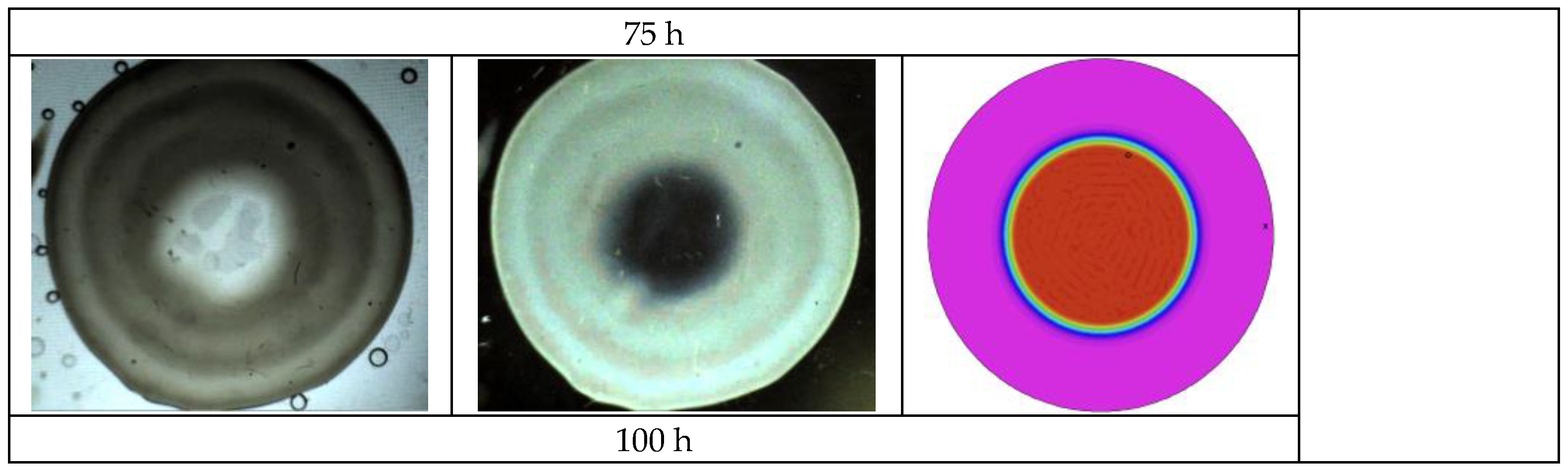 Polymers 16 02621 g004b