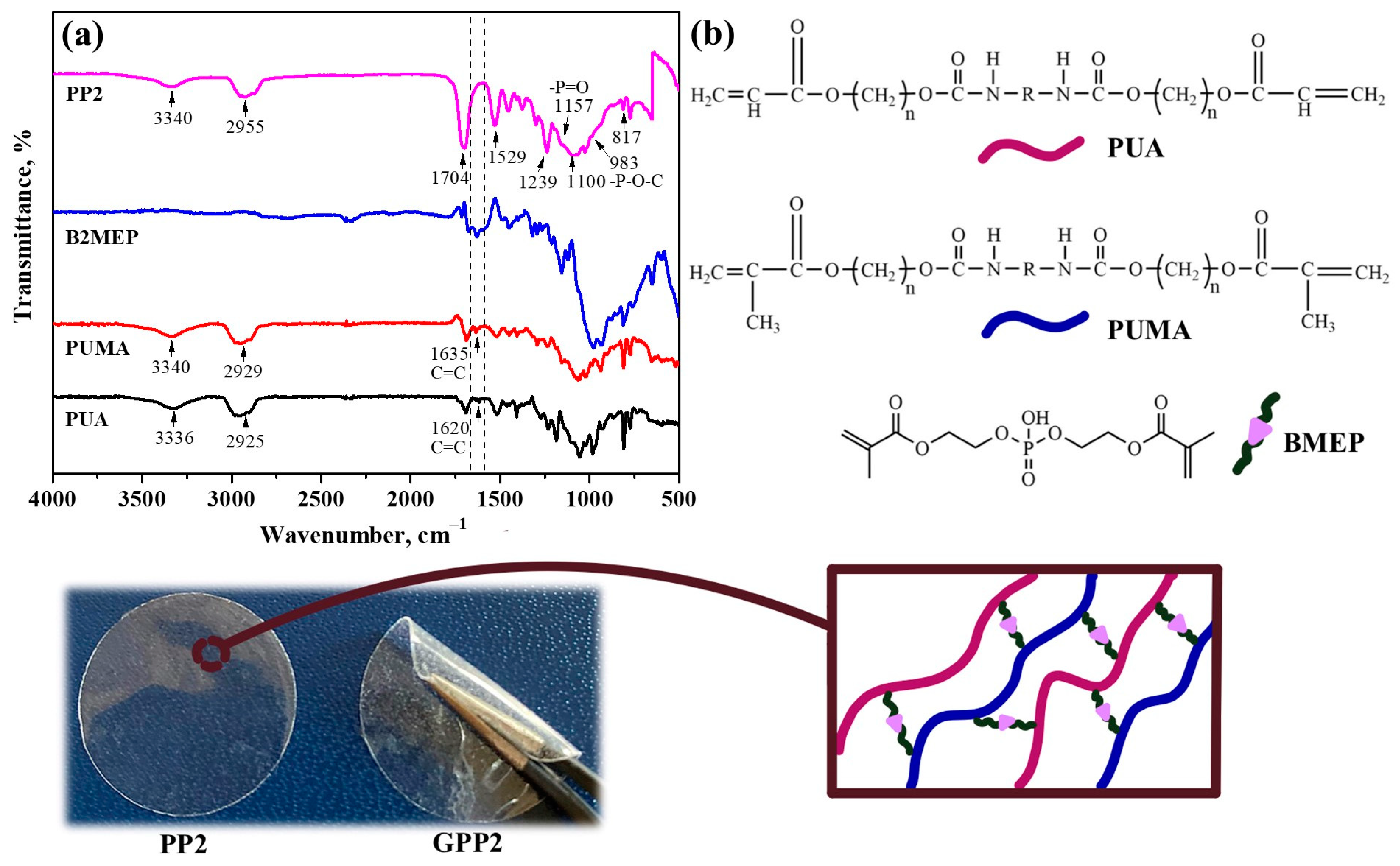 Polymers 16 02628 g001