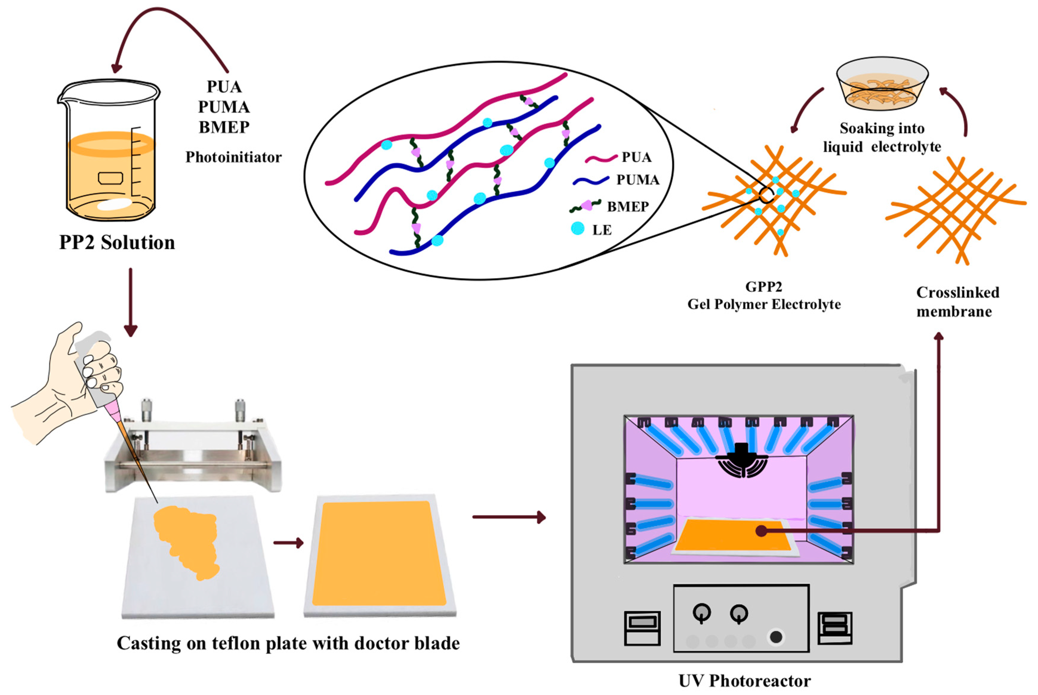 Polymers 16 02628 g002