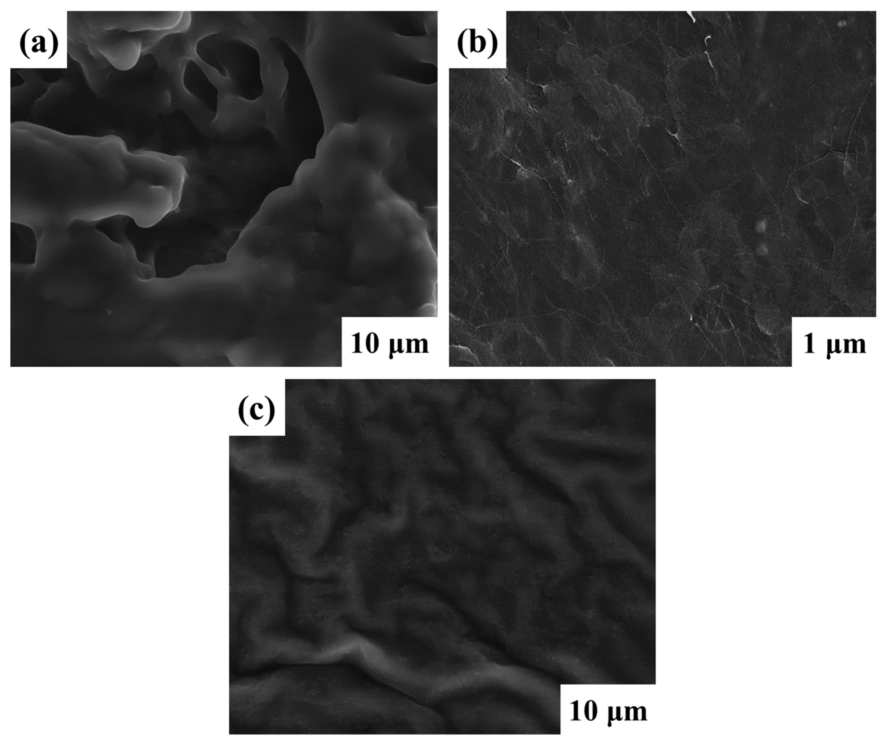 Polymers 16 02628 g003