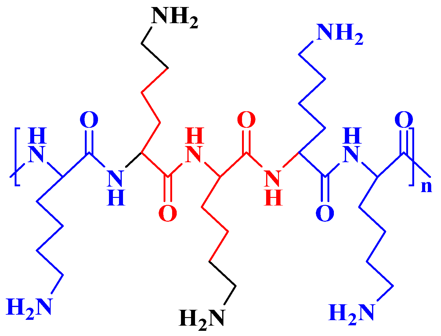 Polymers 16 02629 g005
