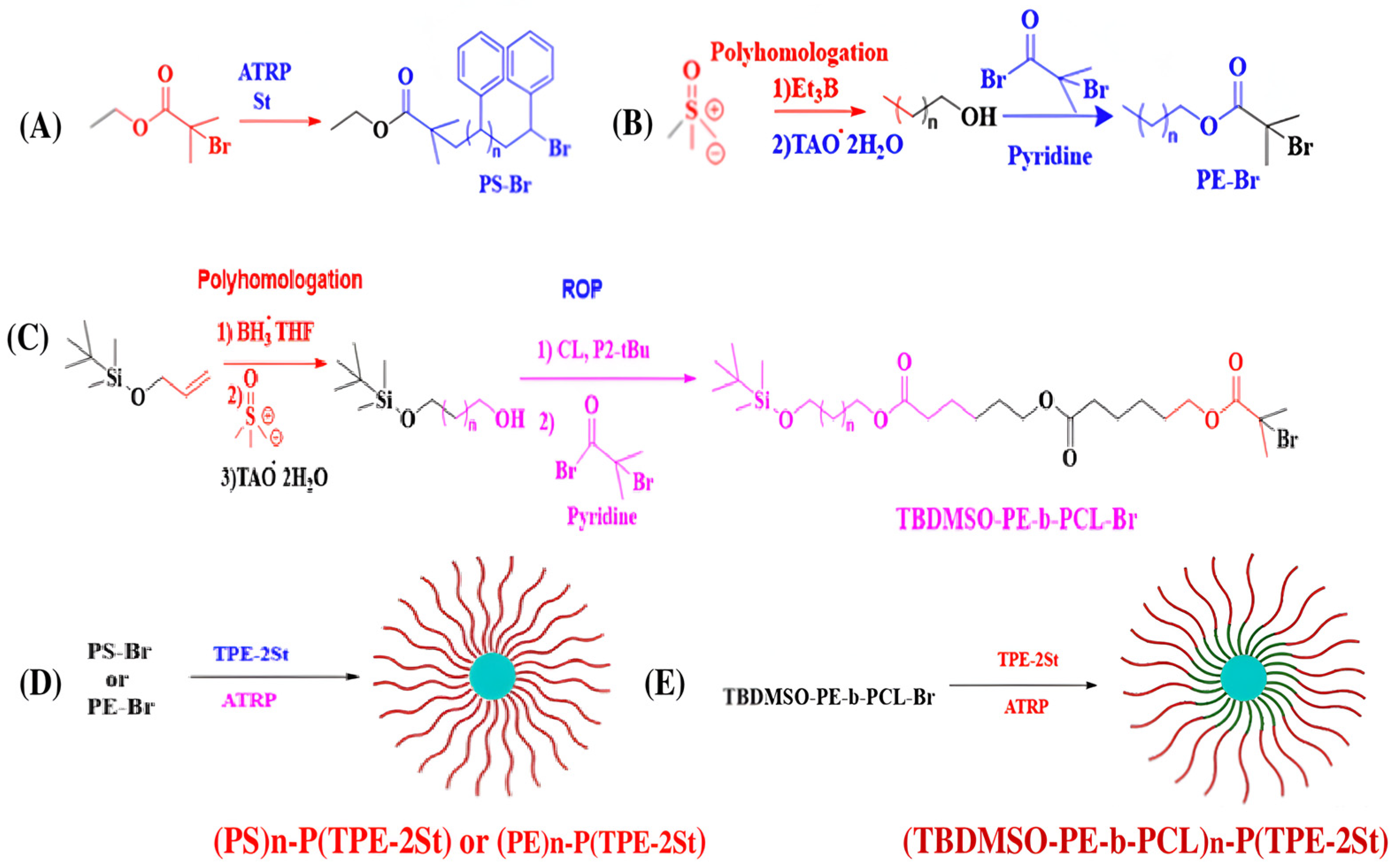 Polymers 16 02629 g016