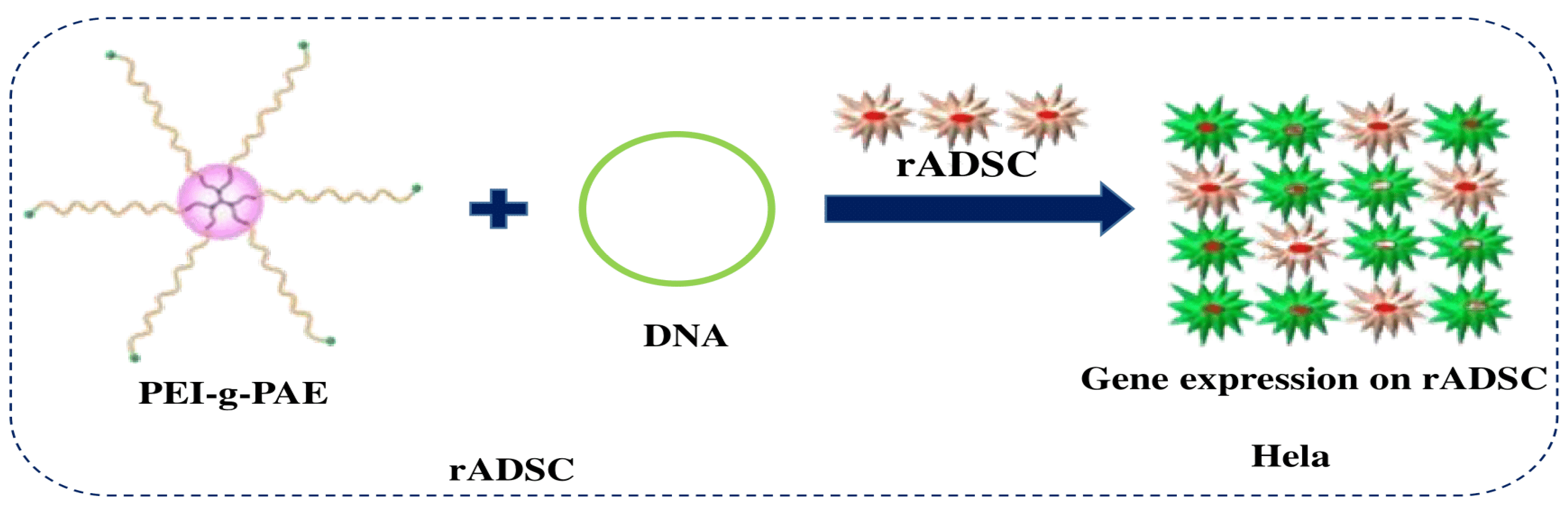 Polymers 16 02629 g017