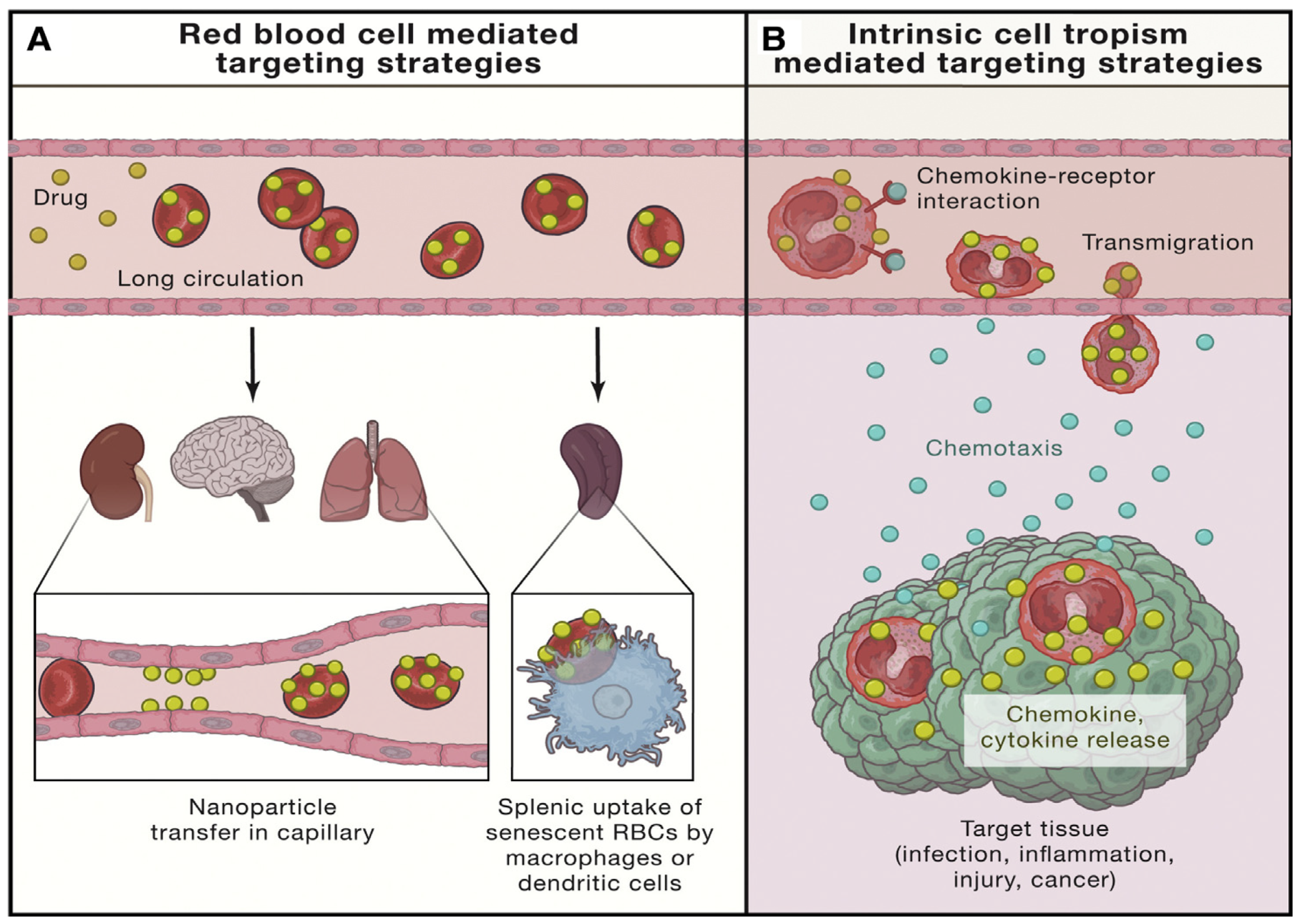 Polymers 16 02629 g021