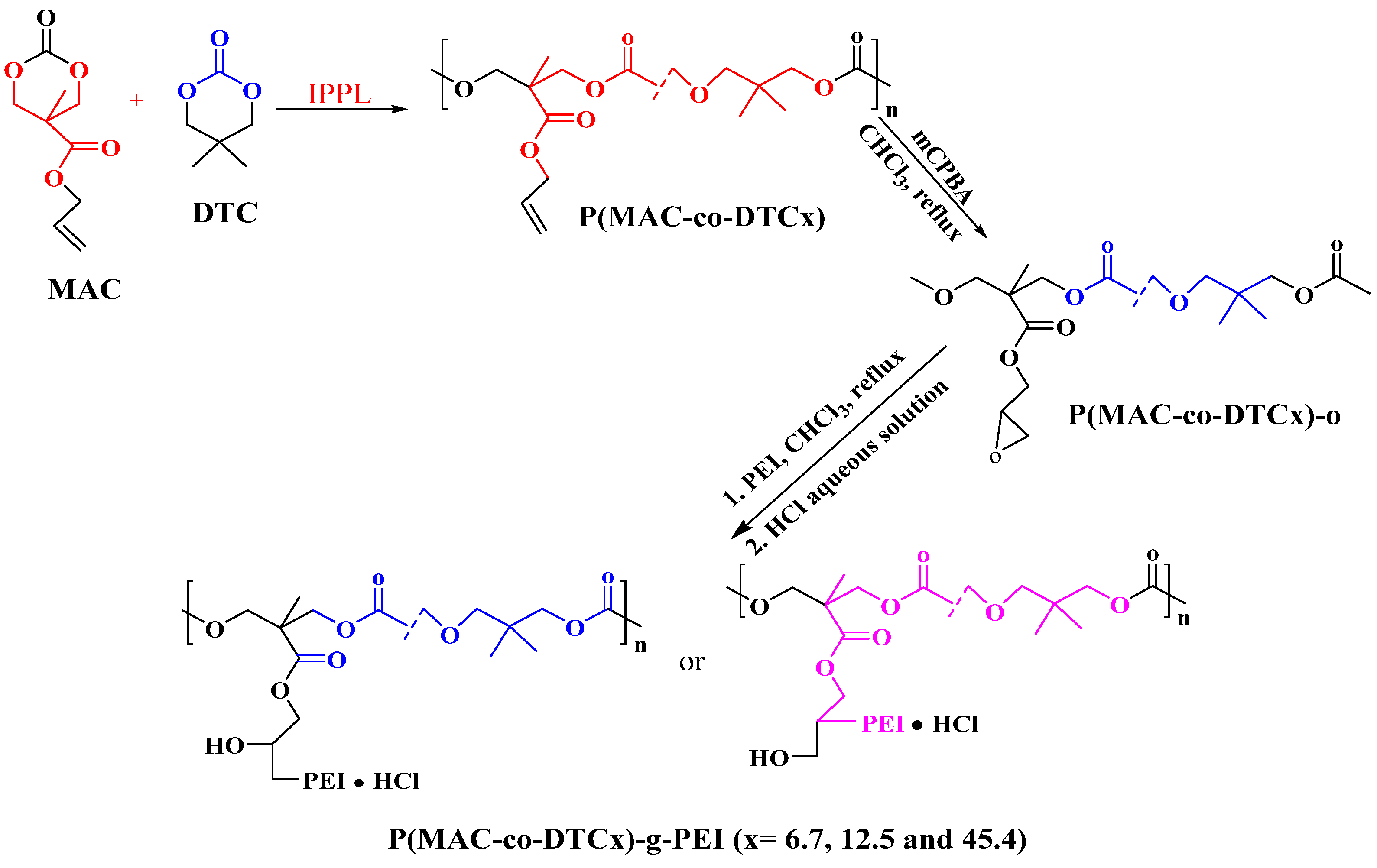 Polymers 16 02629 sch001