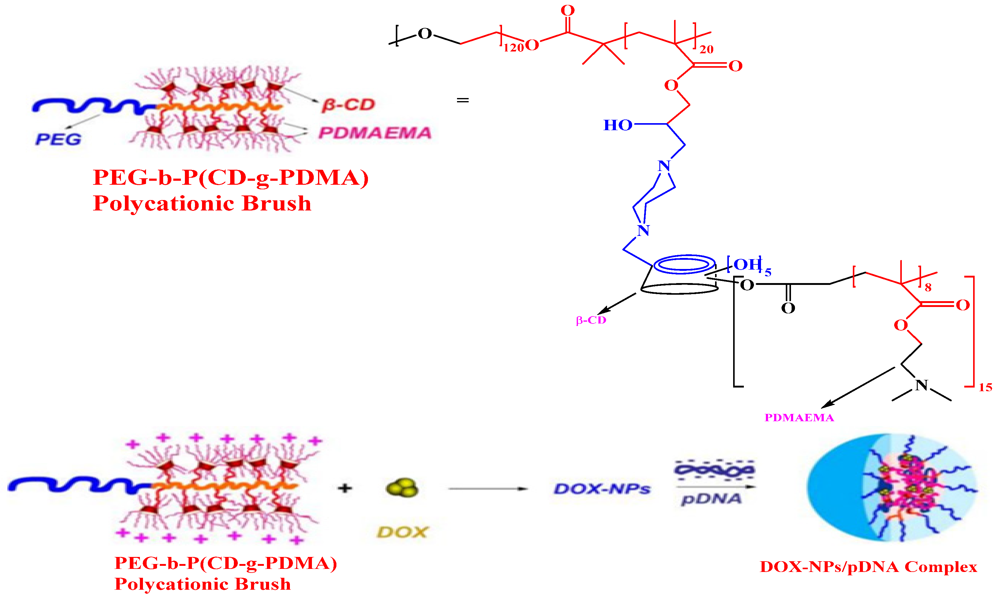 Polymers 16 02629 sch003