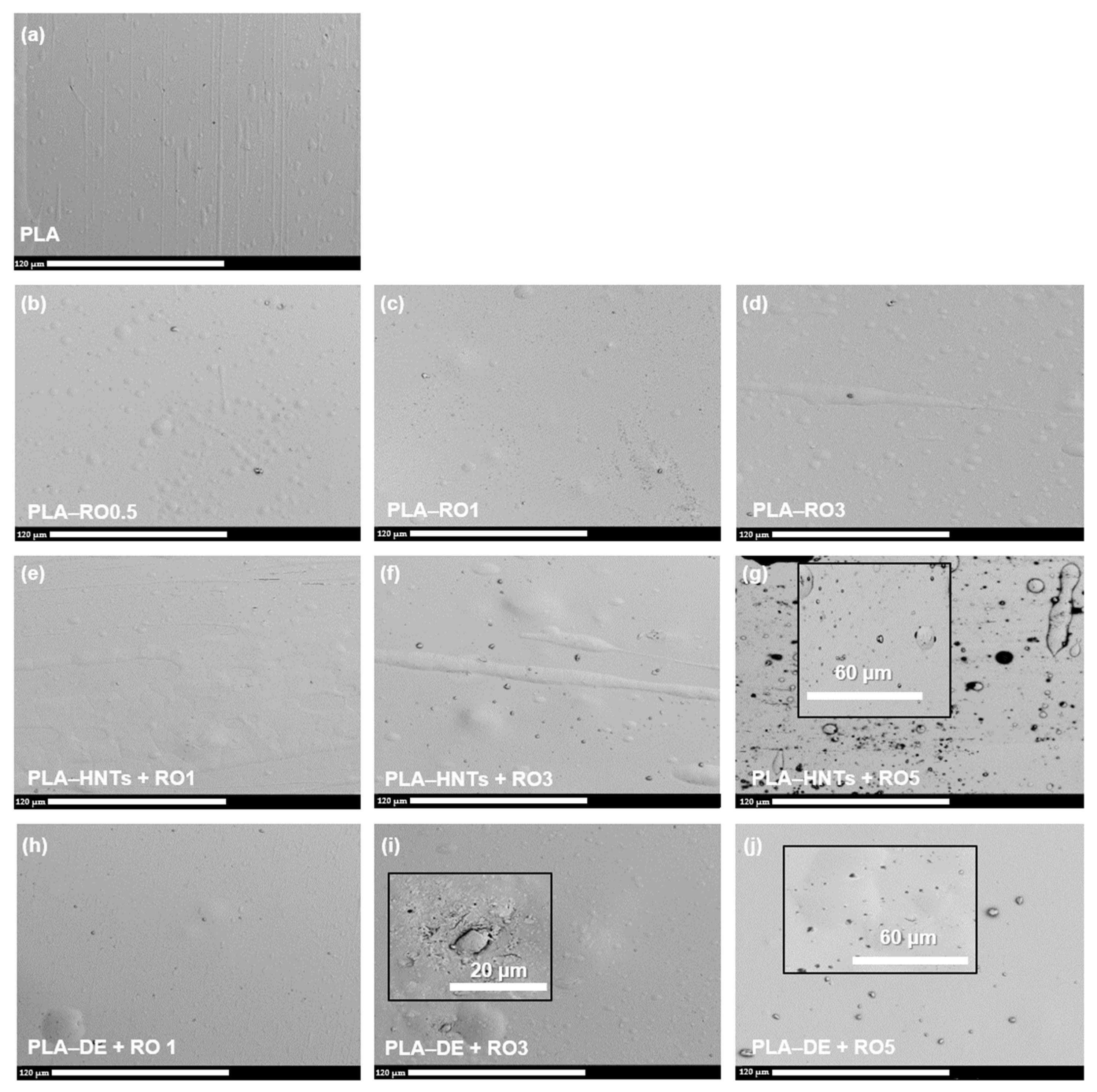 Polymers 16 02632 g004
