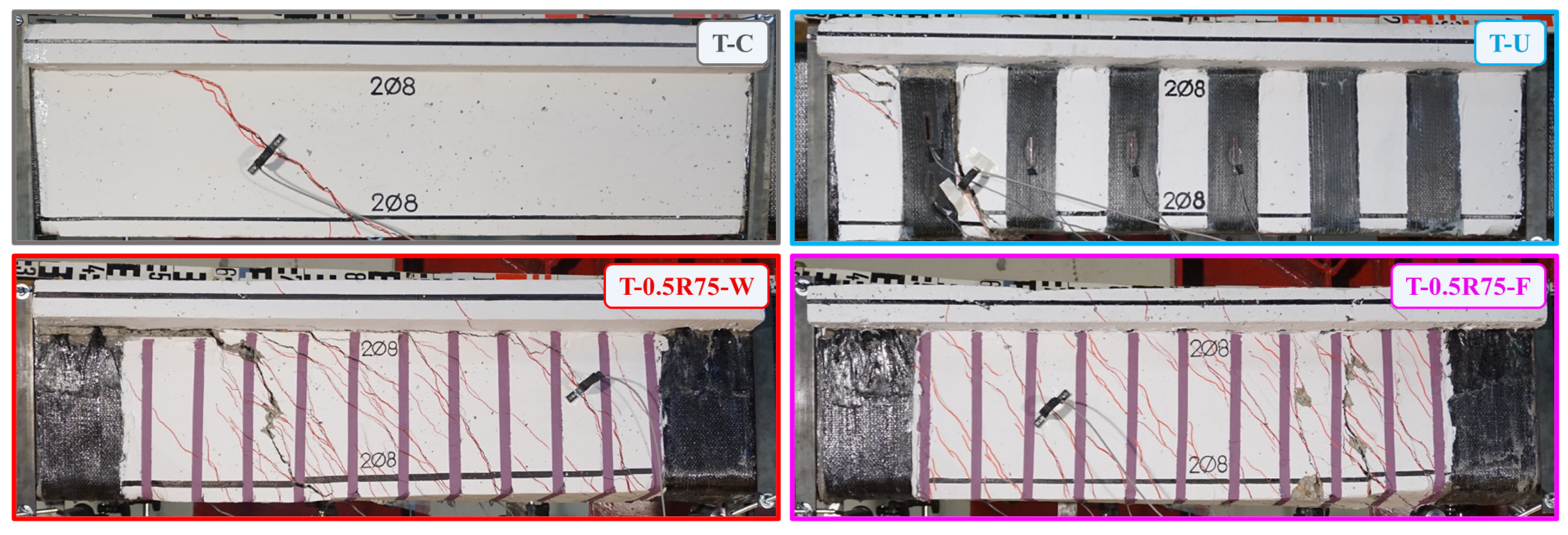 Polymers 16 02634 g009