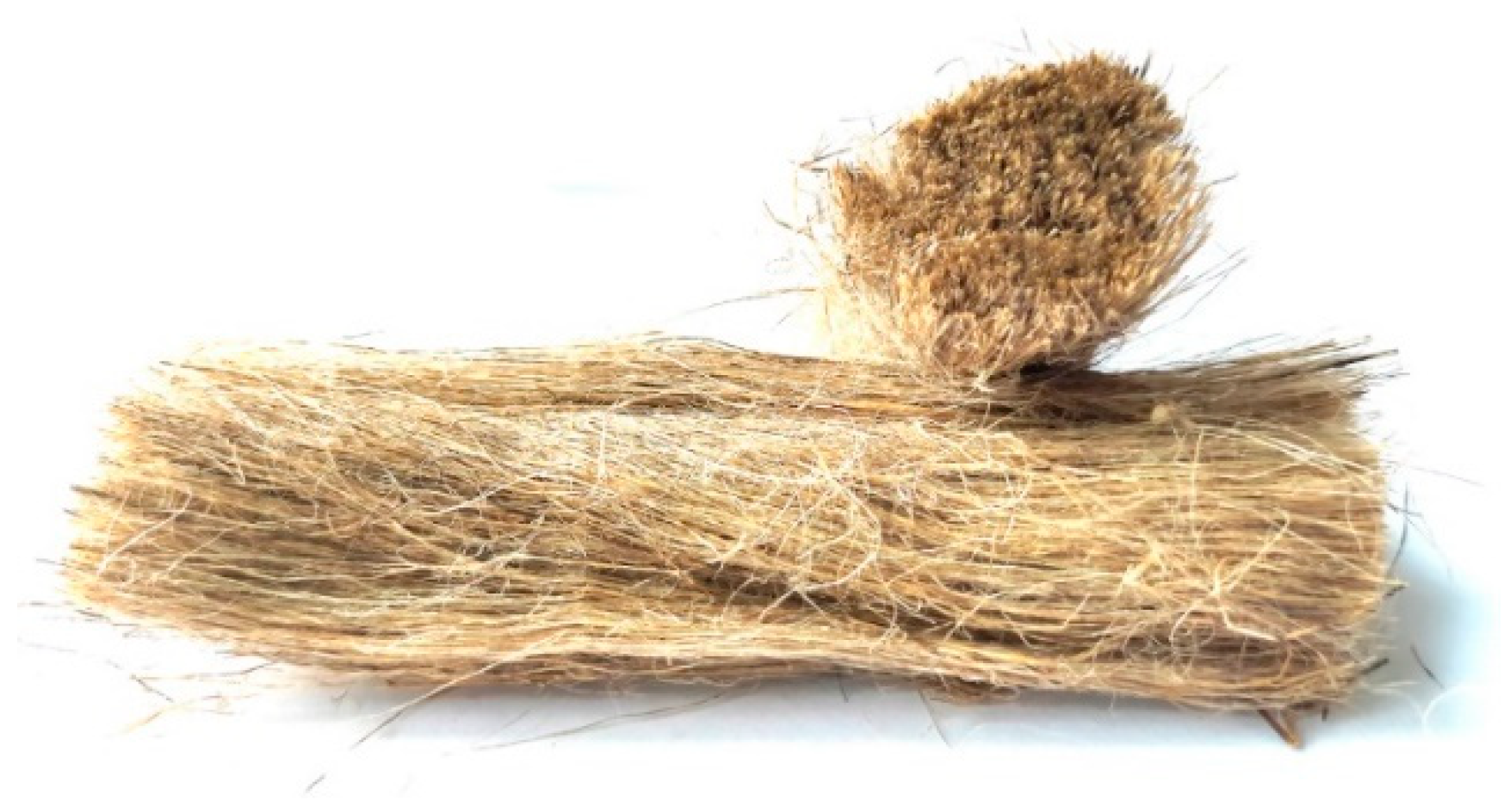 Polymers 16 02644 g001