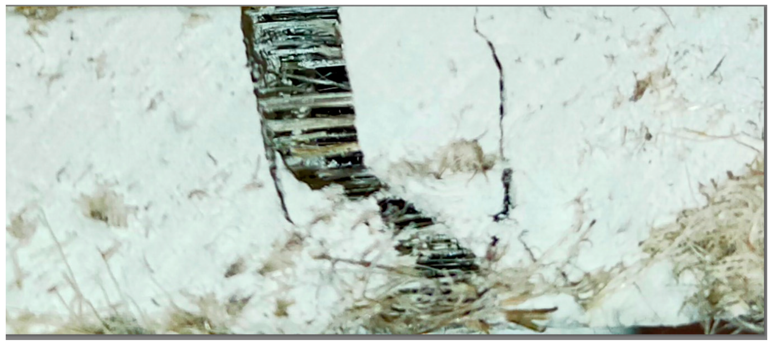 Polymers 16 02644 g011