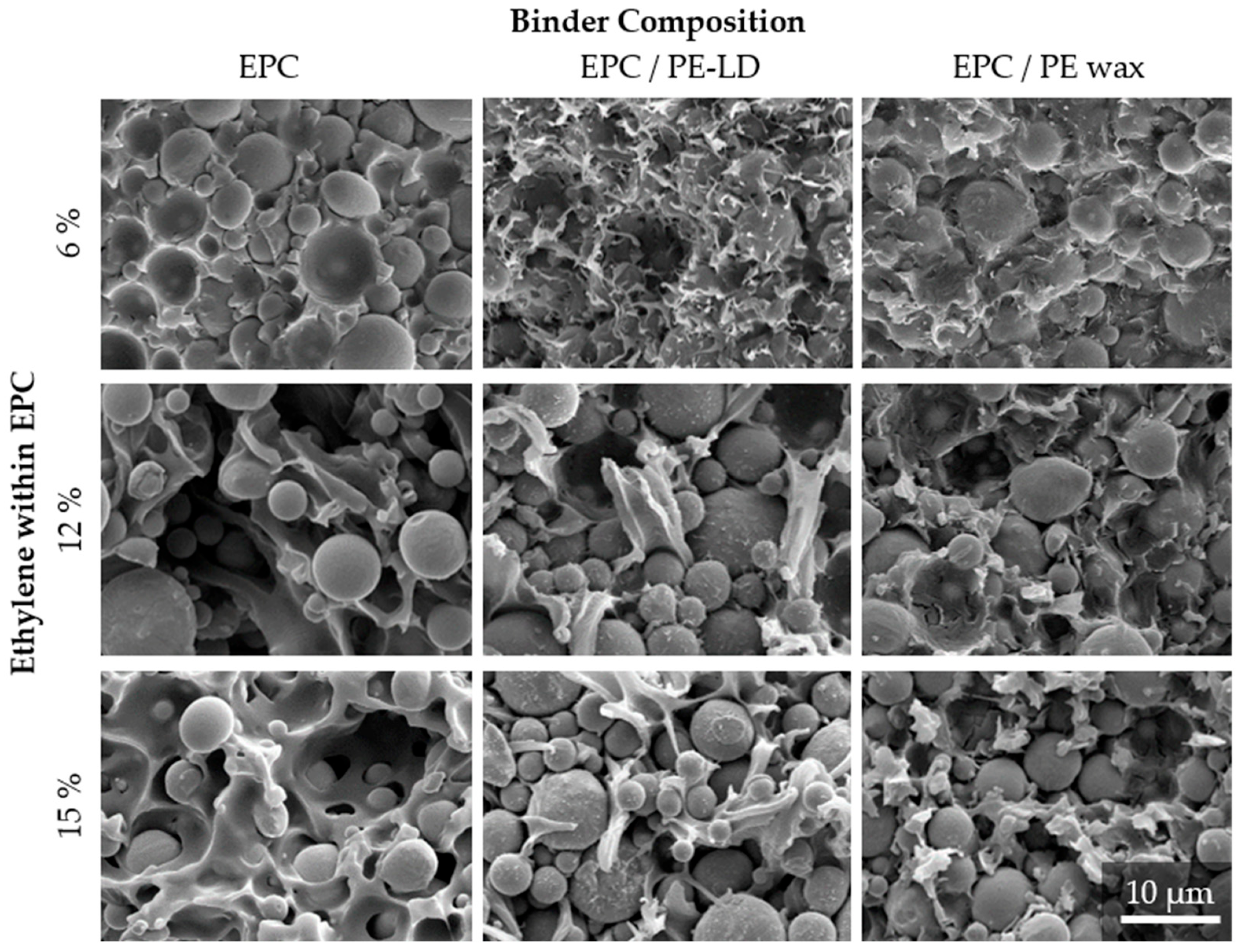 Polymers 16 02658 g007