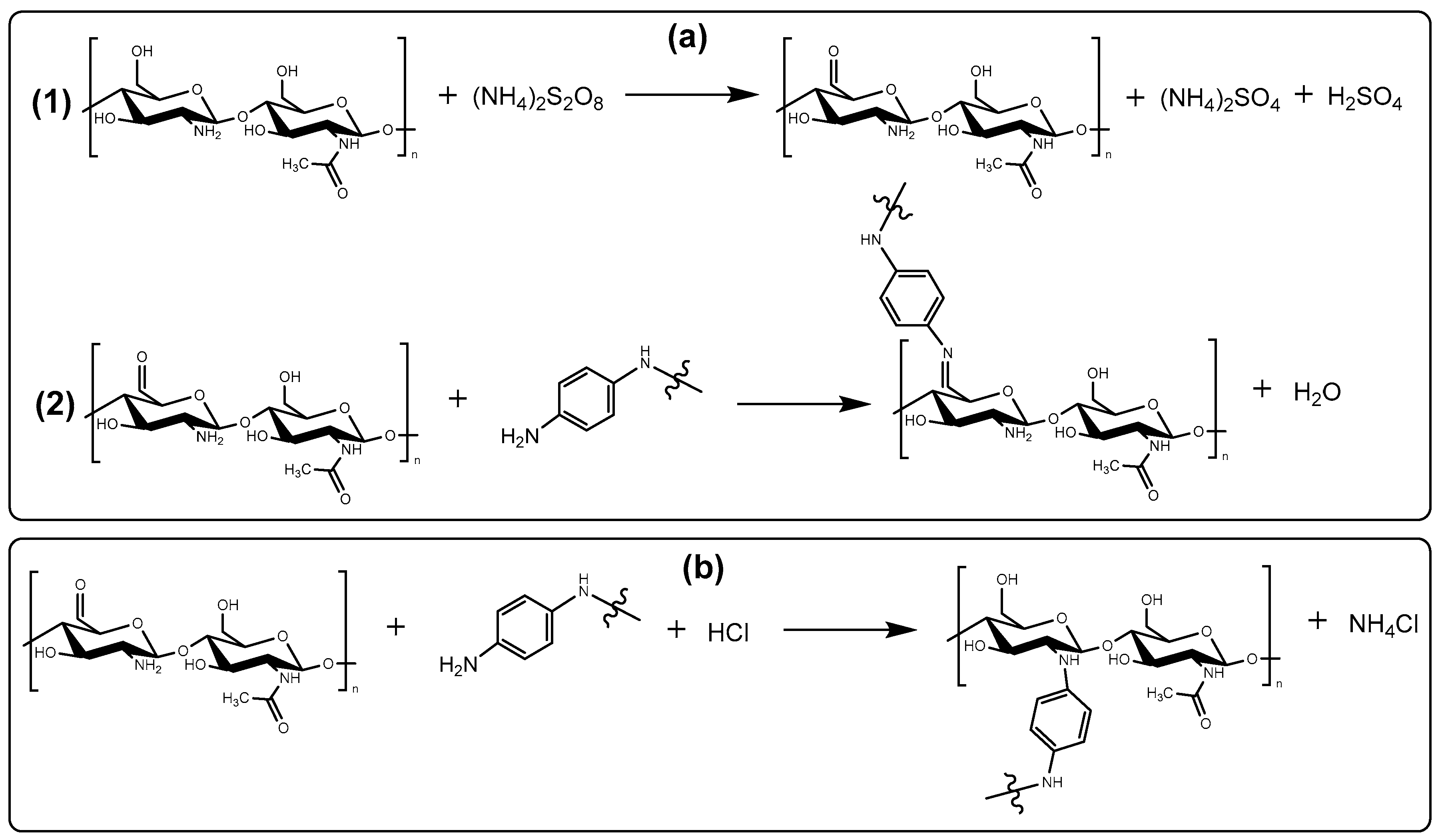 Polymers 16 02663 g012 Polymers 16 02663 g012