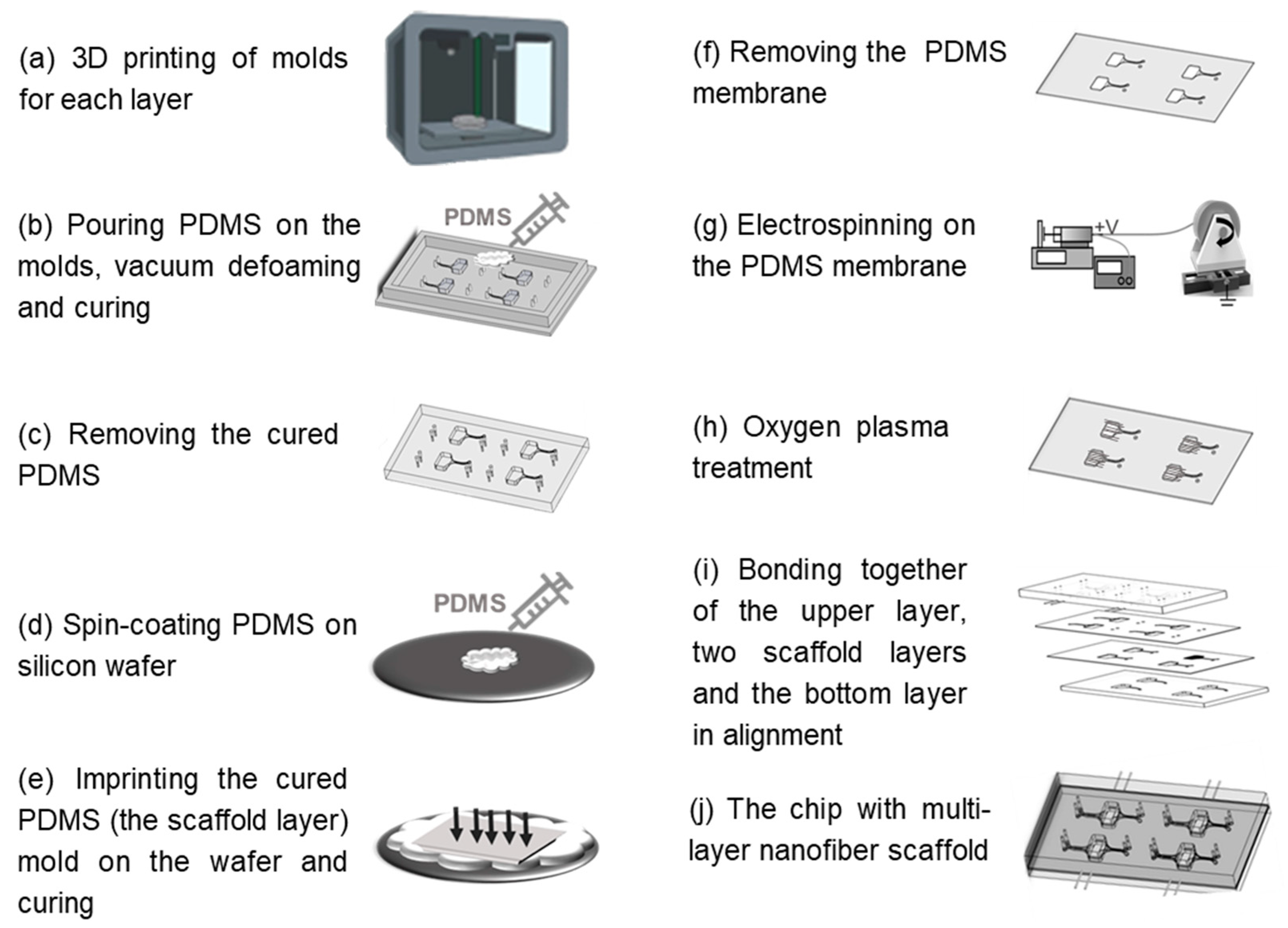 Polymers 16 02664 g001