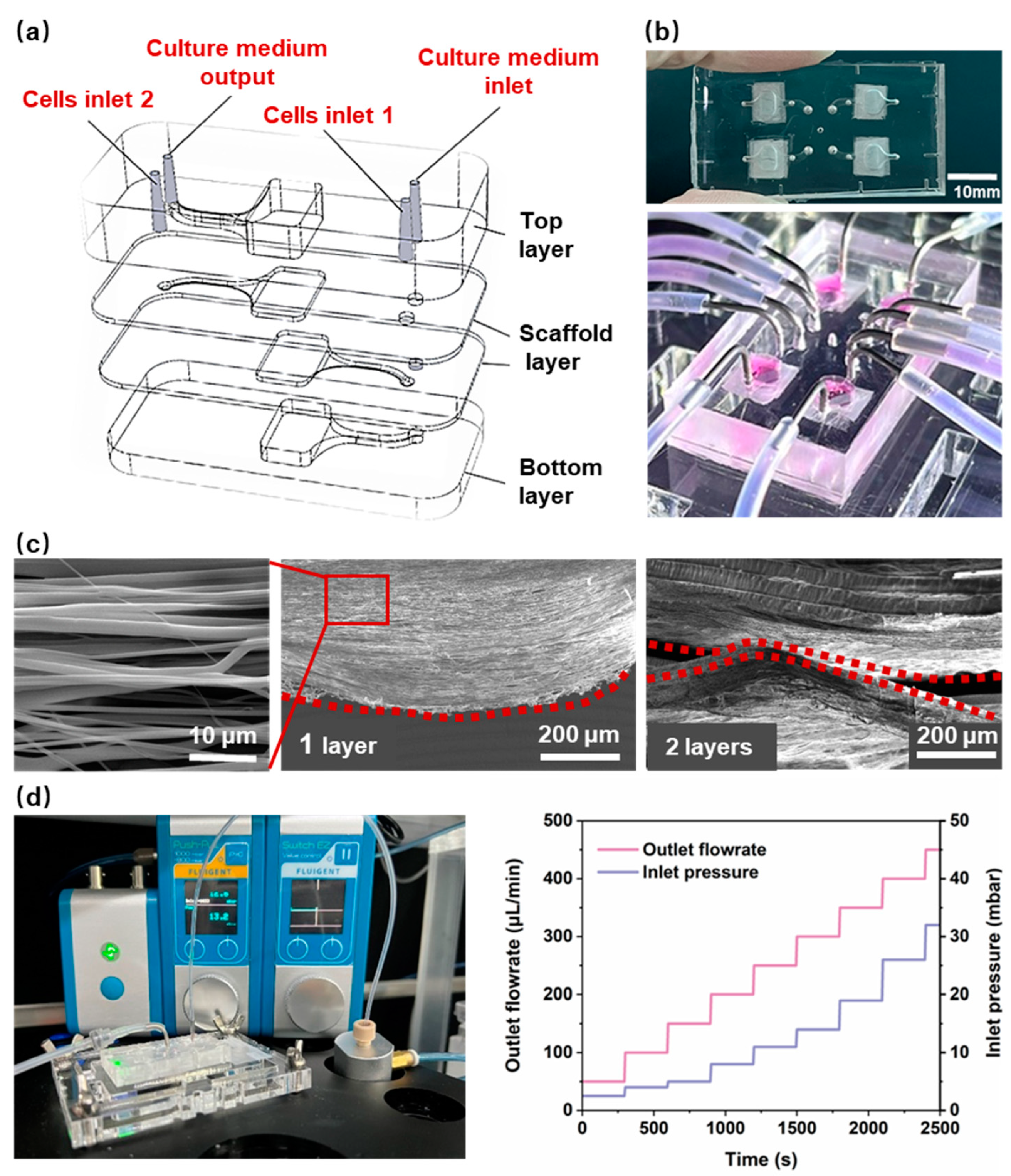 Polymers 16 02664 g002