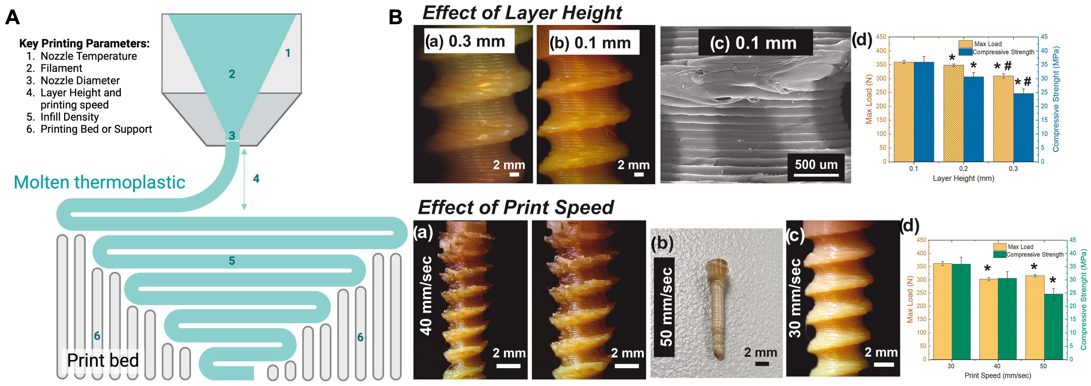 Polymers 16 02686 g003