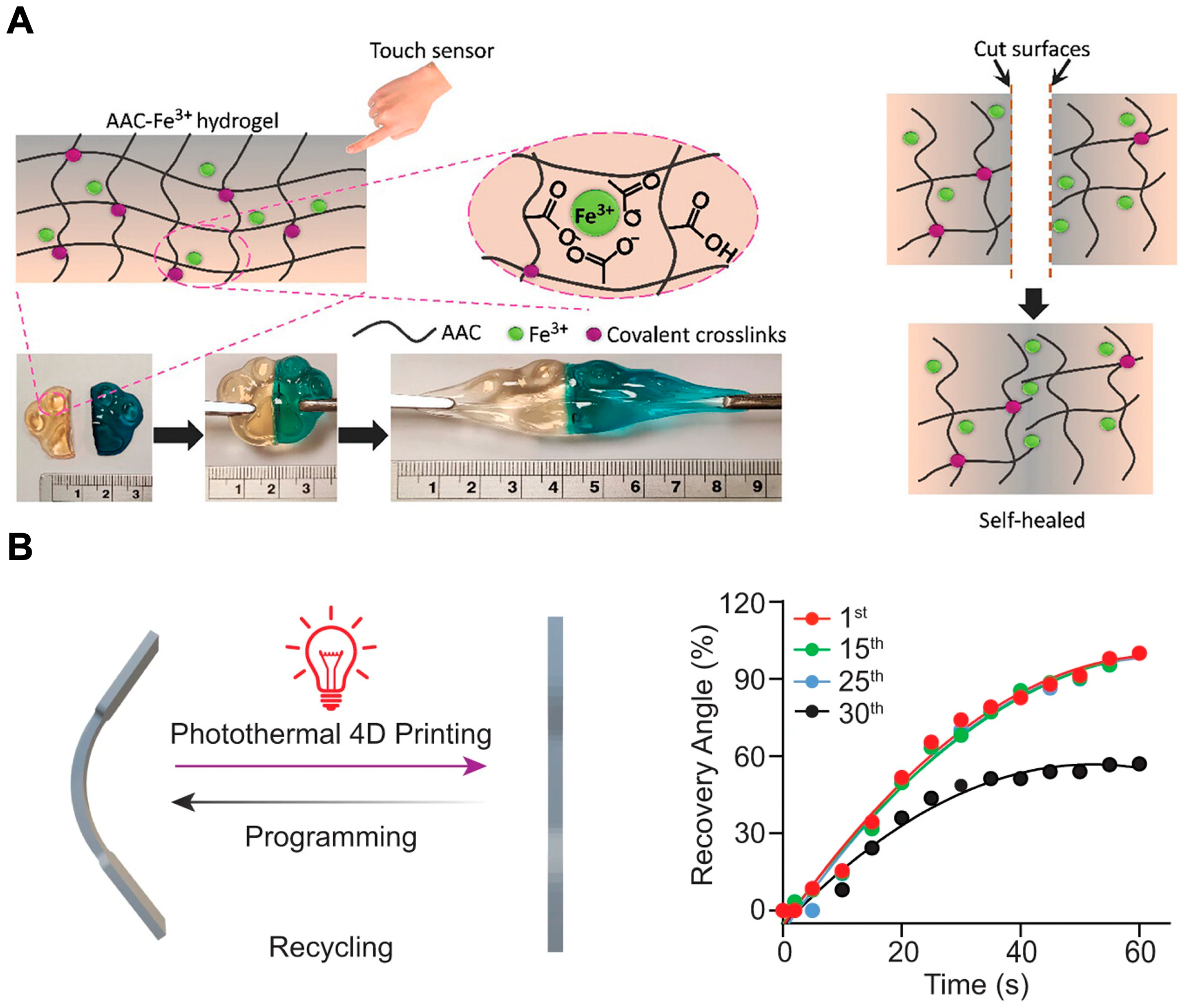 Polymers 16 02686 g005