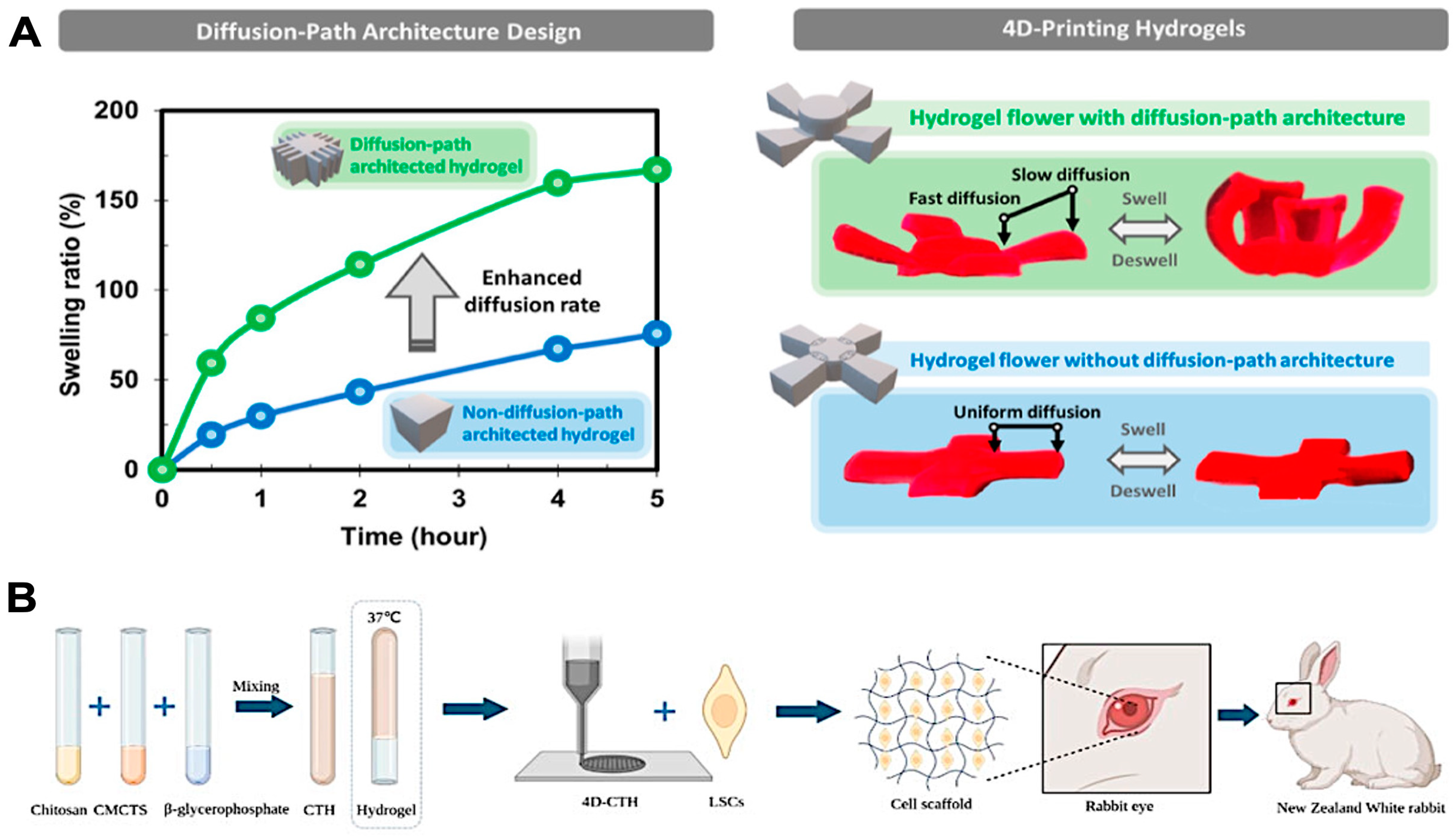 Polymers 16 02686 g006