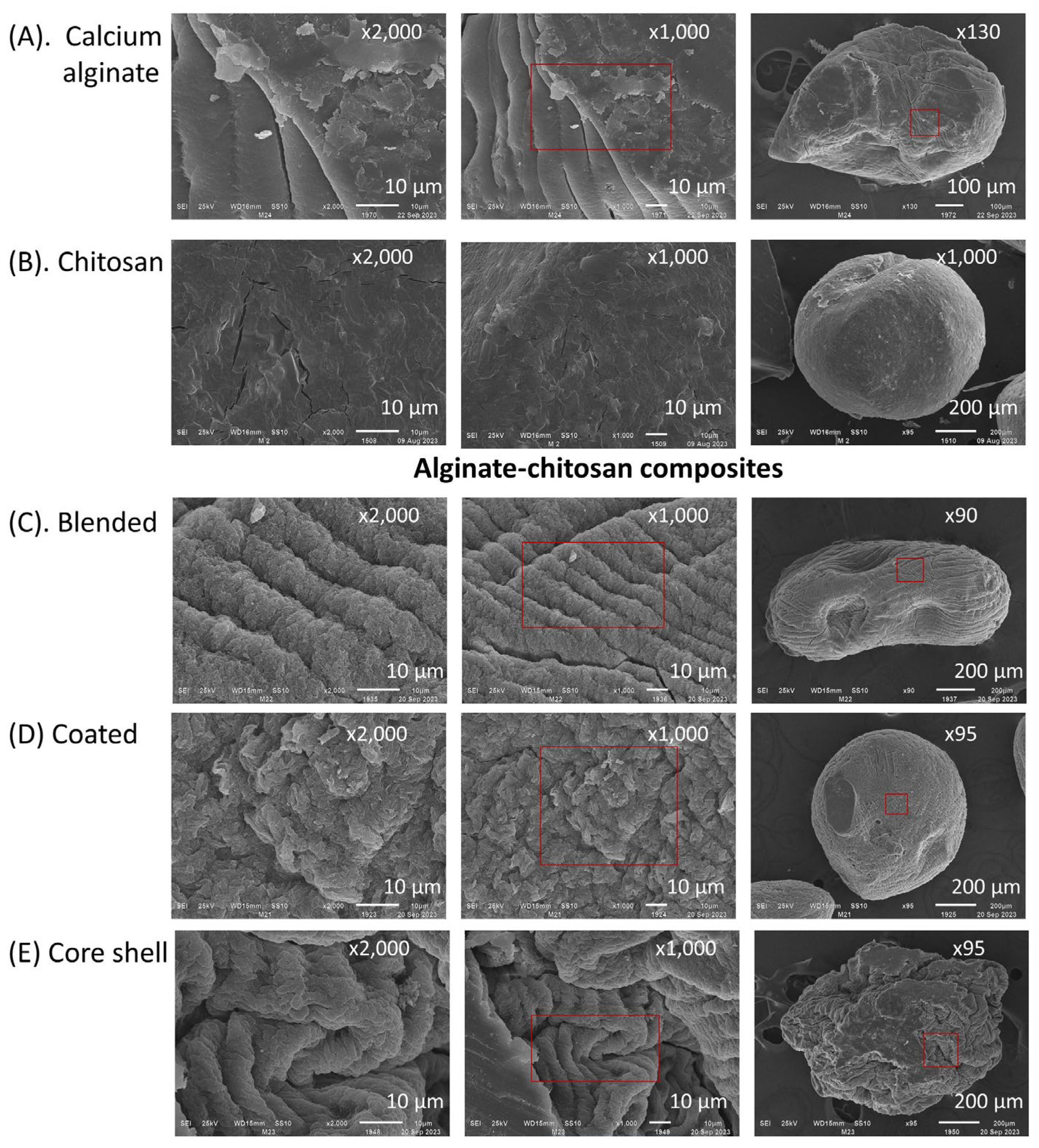 Polymers 16 02691 g003