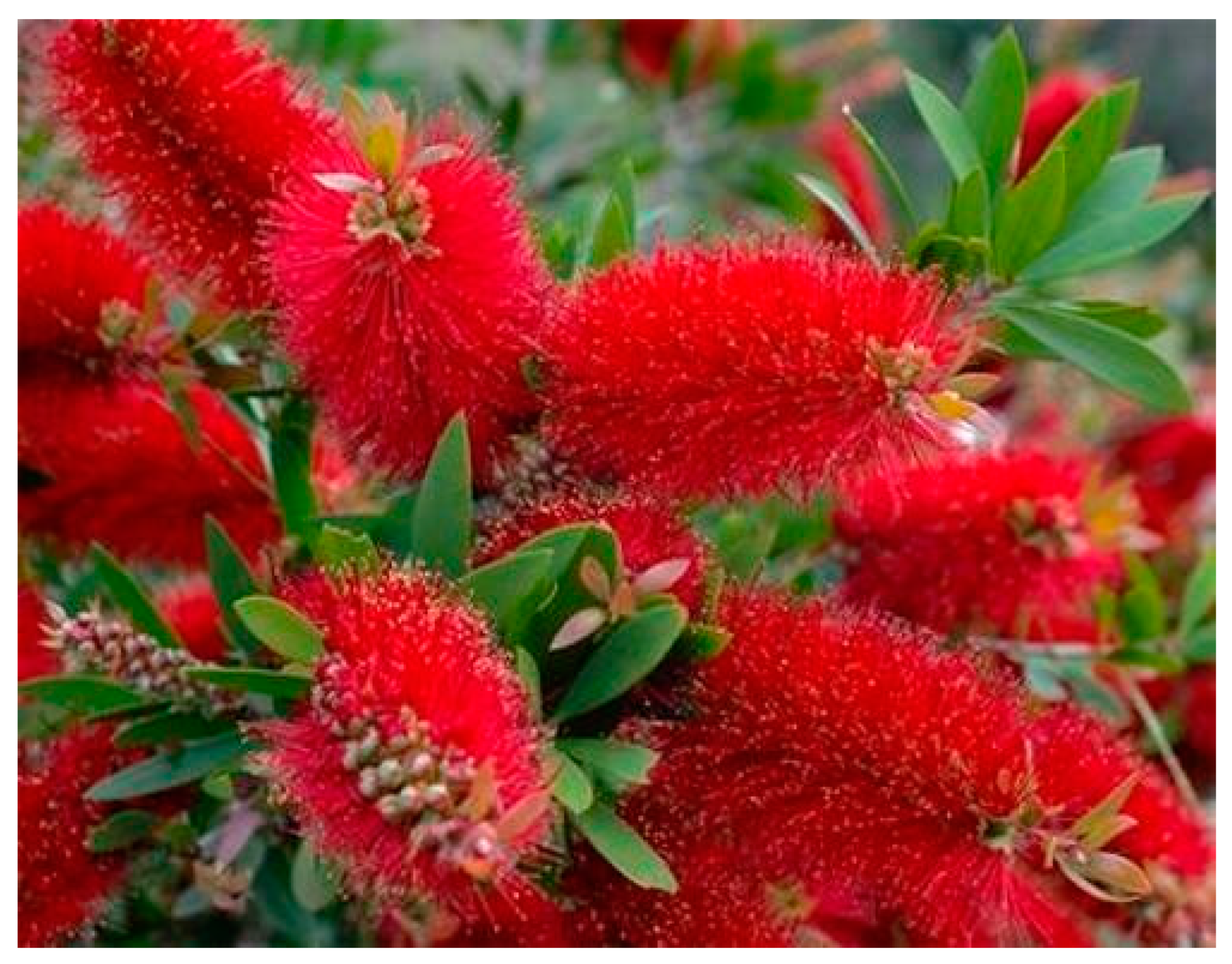 Polymers 16 02693 g001