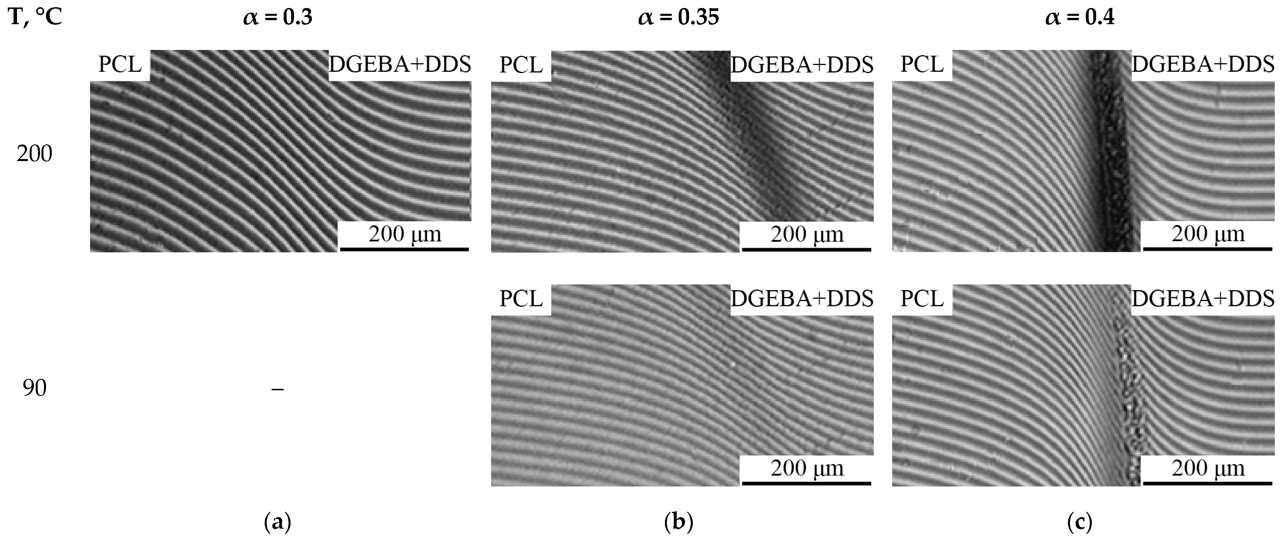 Polymers 16 02695 g006