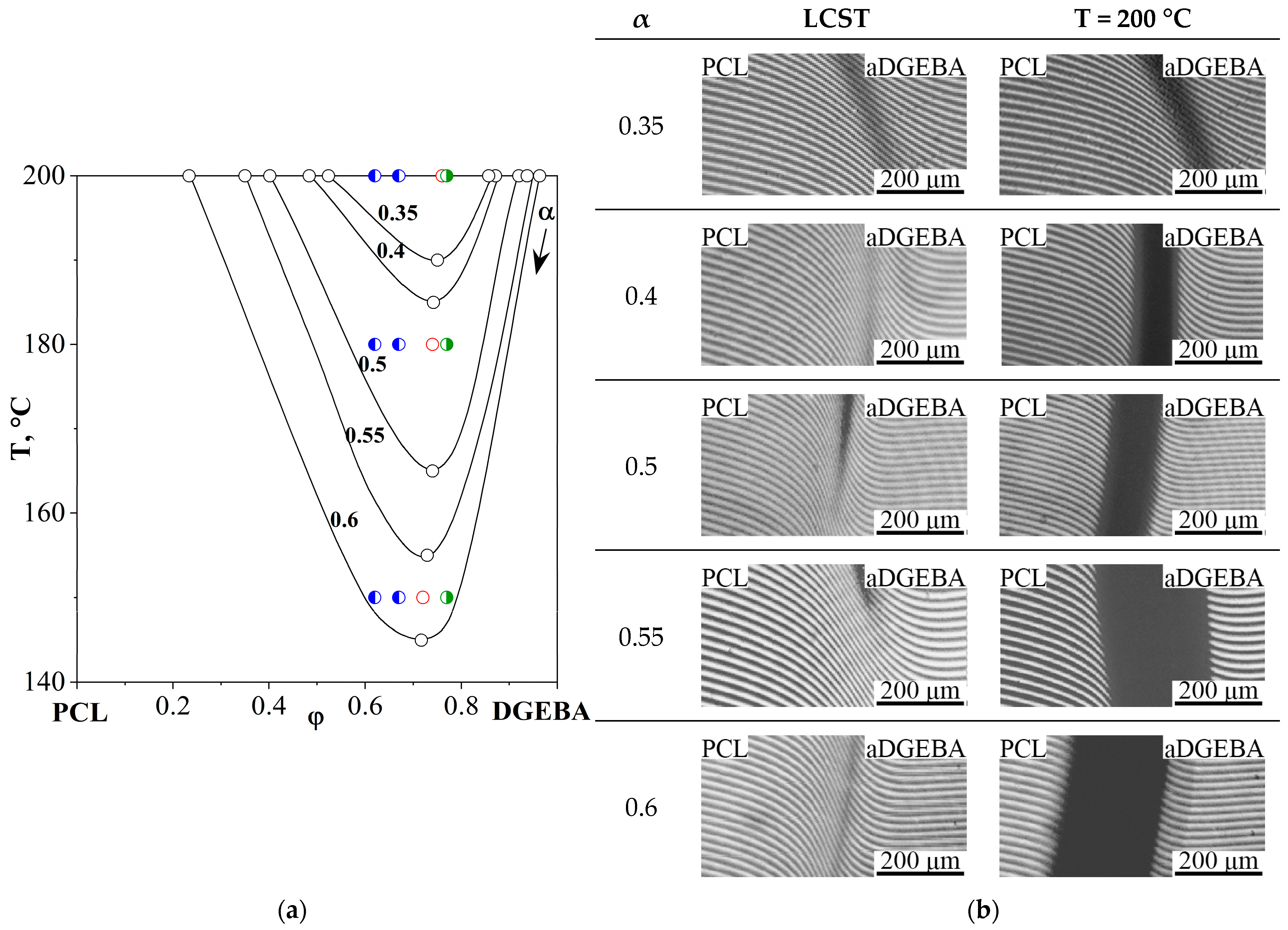 Polymers 16 02695 g007