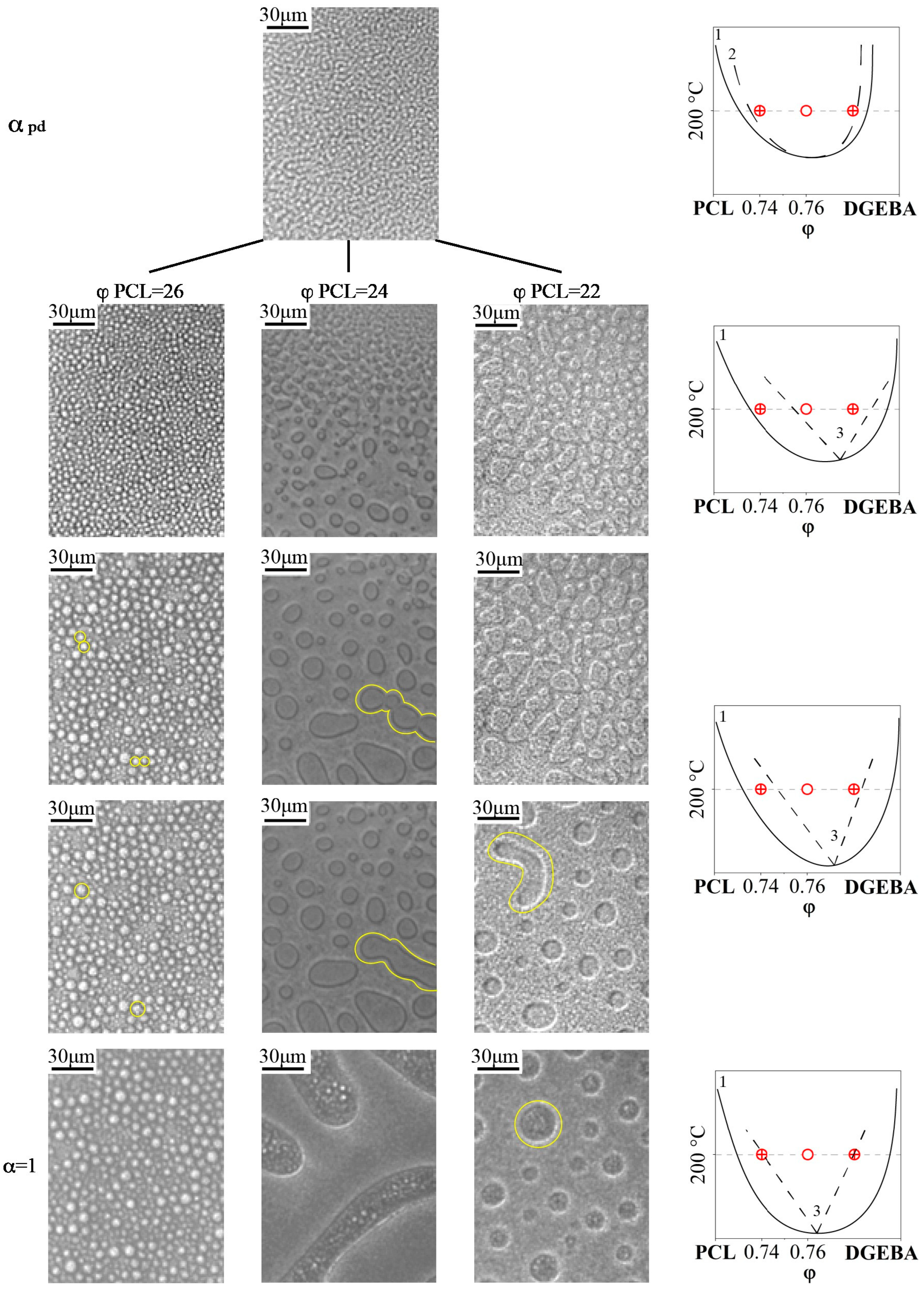 Polymers 16 02695 g014