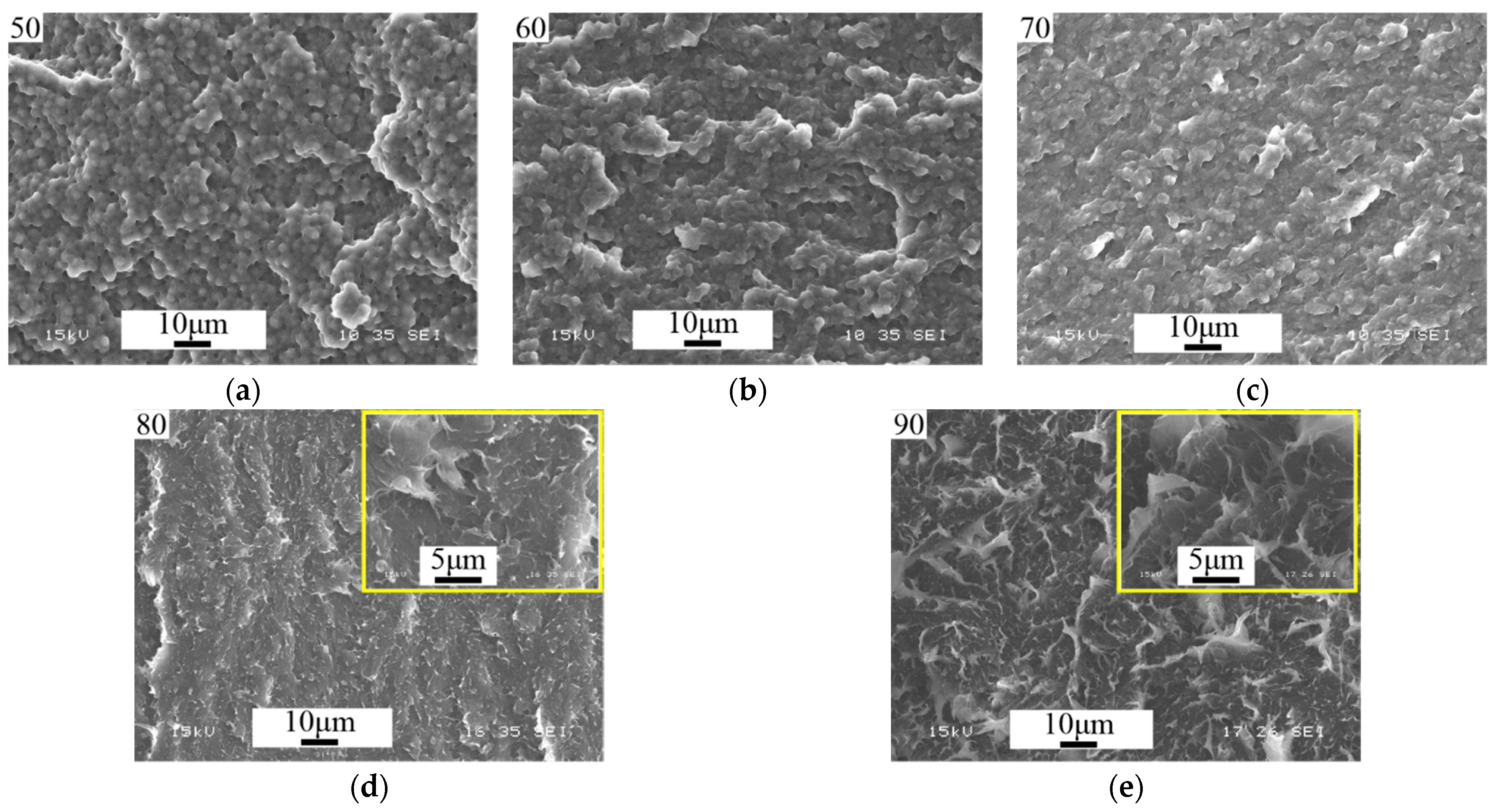 Polymers 16 02695 g021