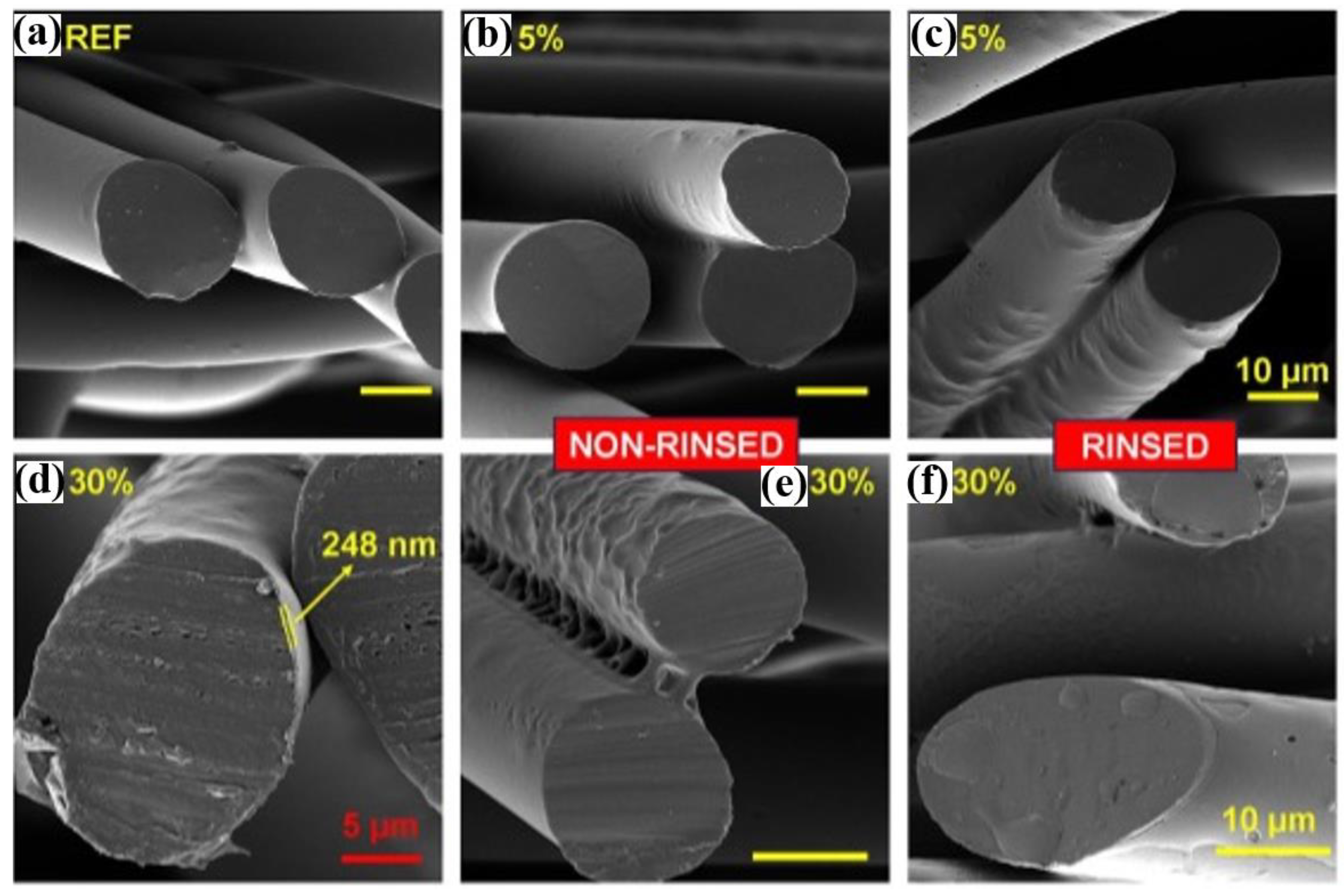 Polymers 16 02701 g007