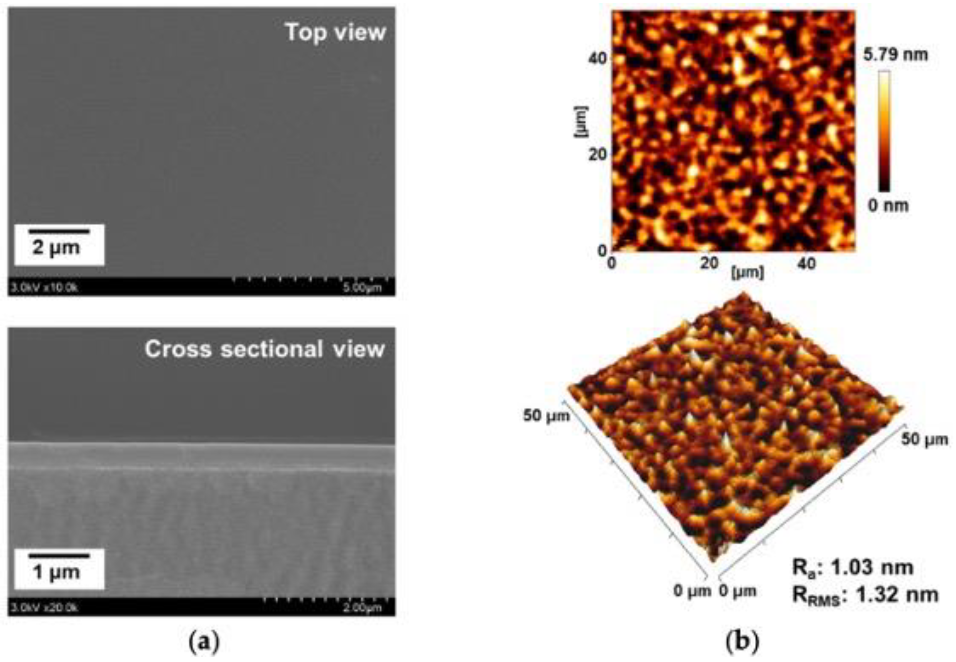 Polymers 16 02701 g008
