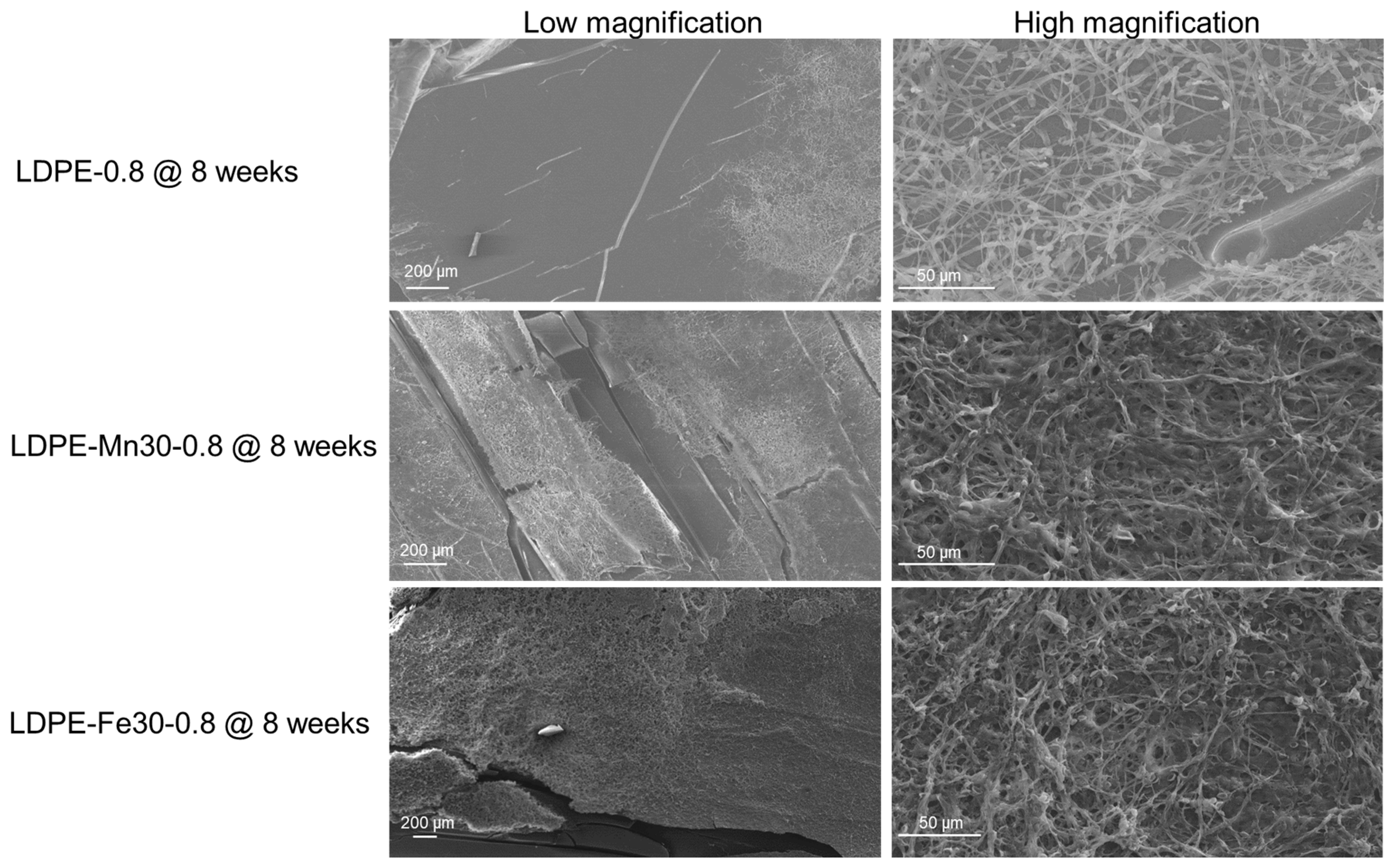 Polymers 16 02709 g006 Polymers 16 02709 g006