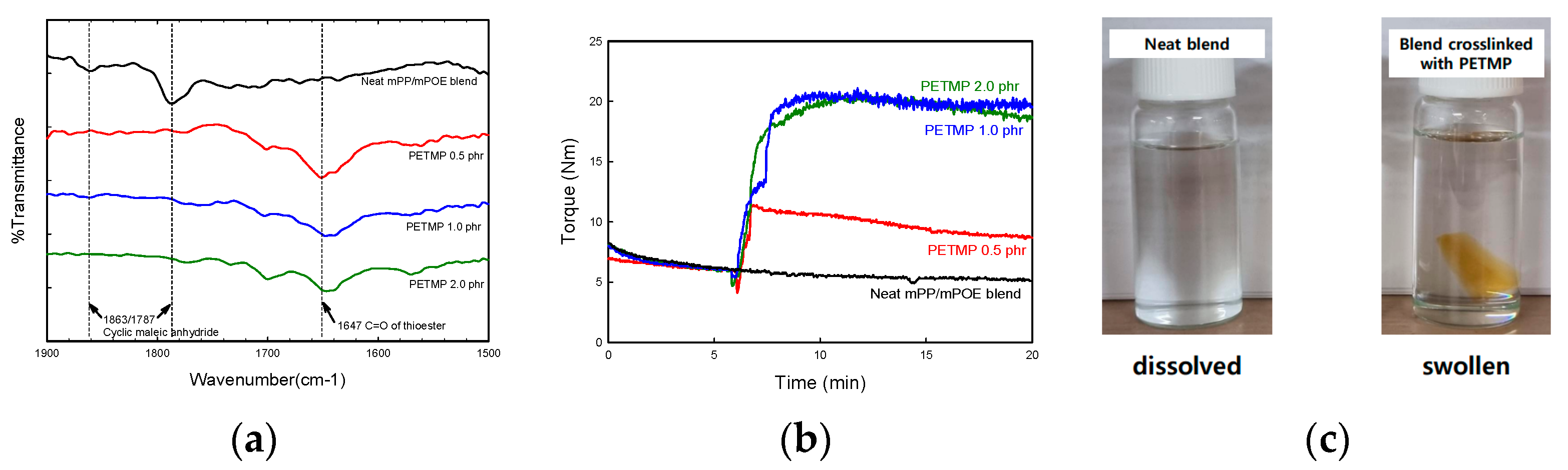 Polymers 16 02714 g001