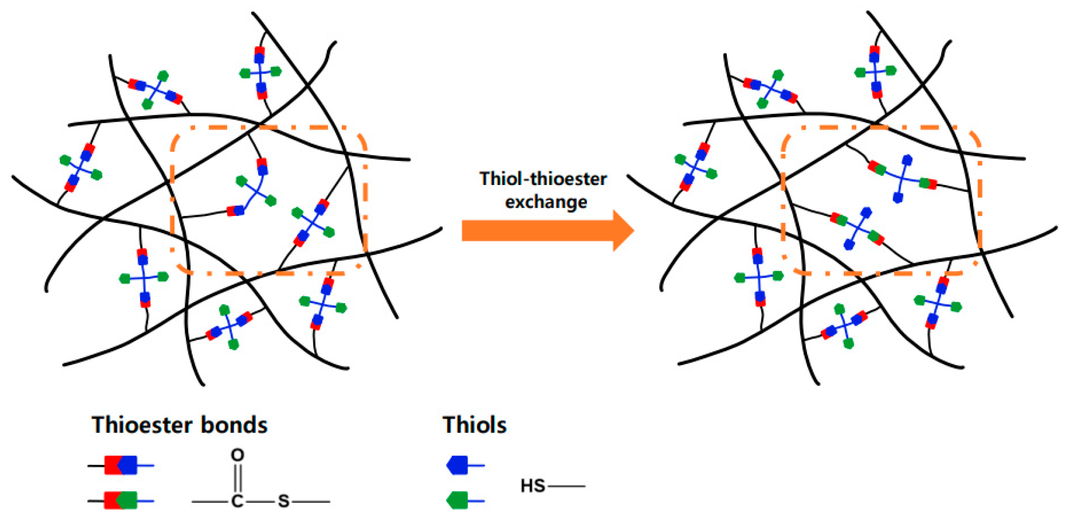Polymers 16 02714 g007