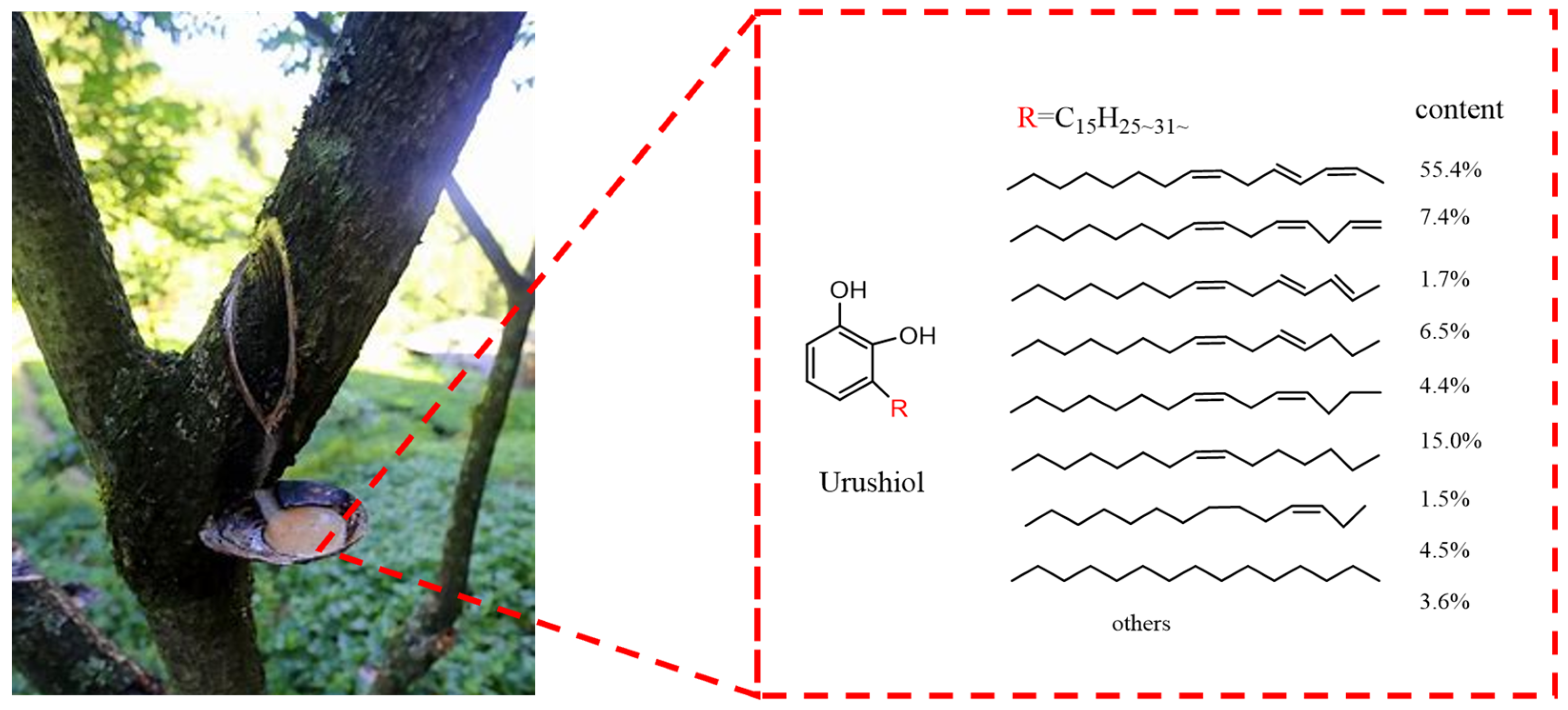 Polymers 16 02716 g001