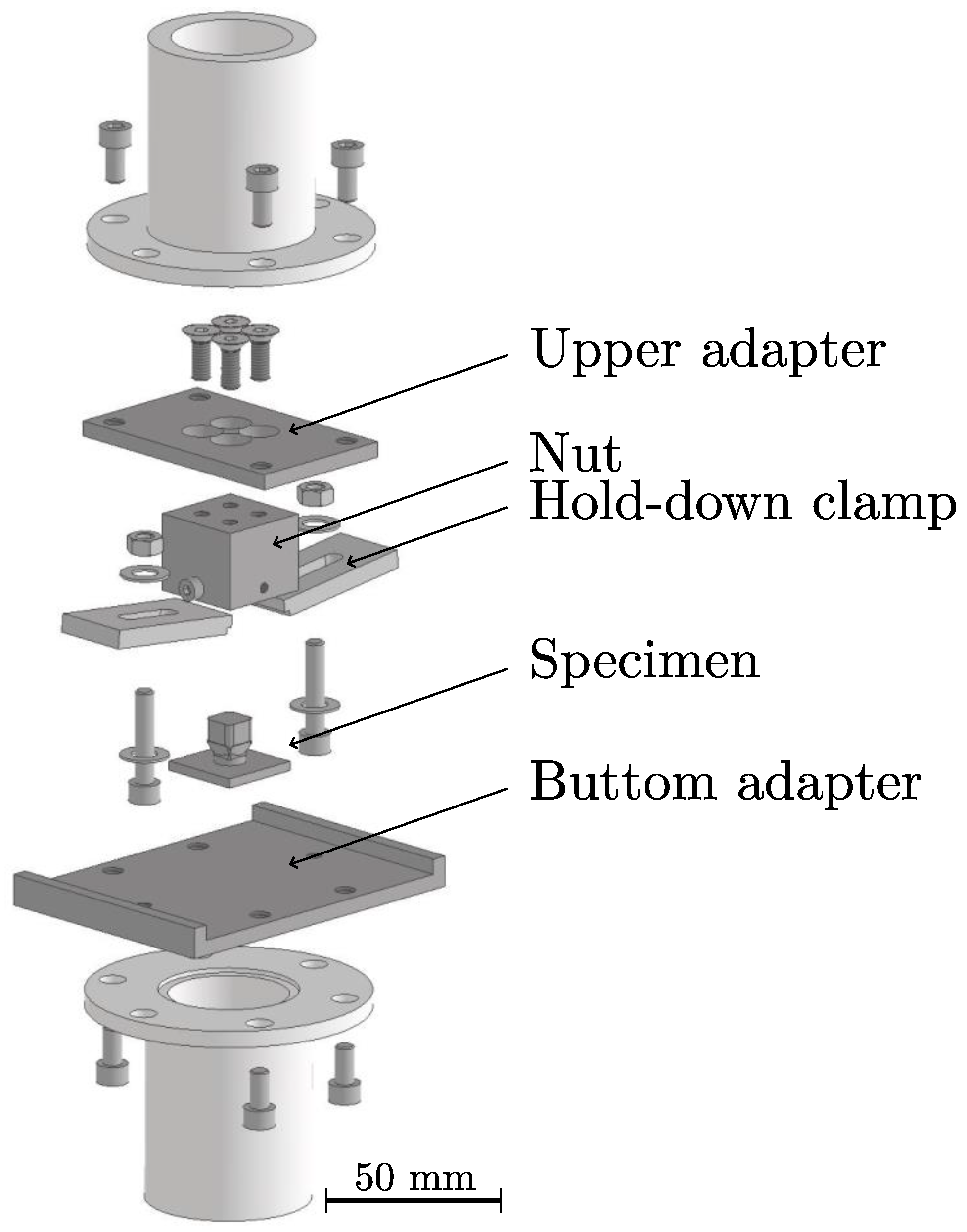 Polymers 16 02719 g002