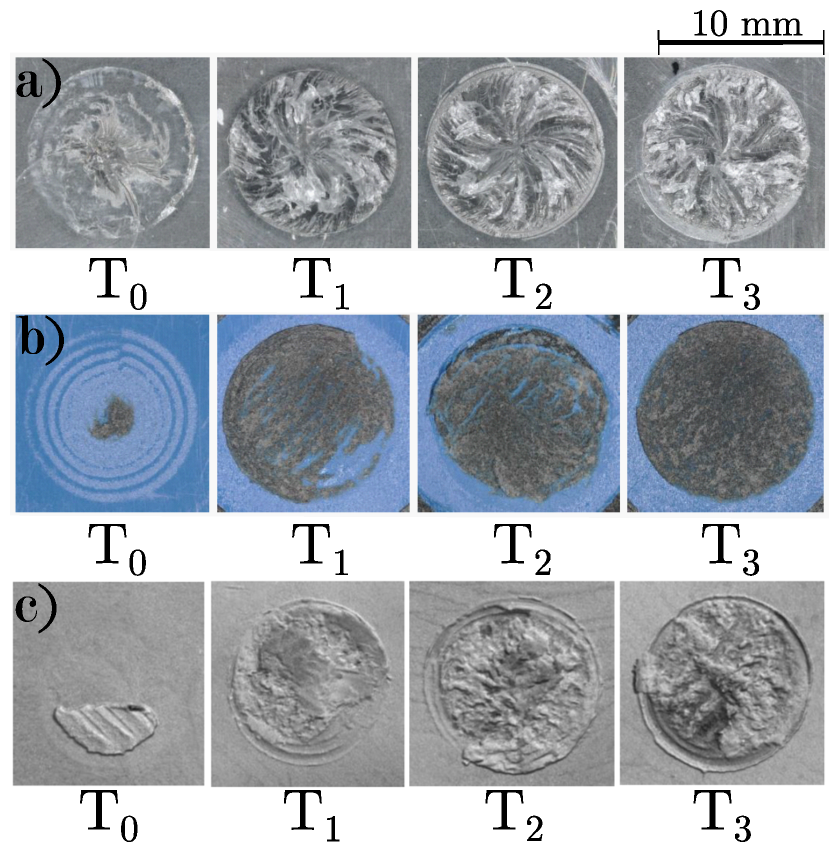 Polymers 16 02719 g005
