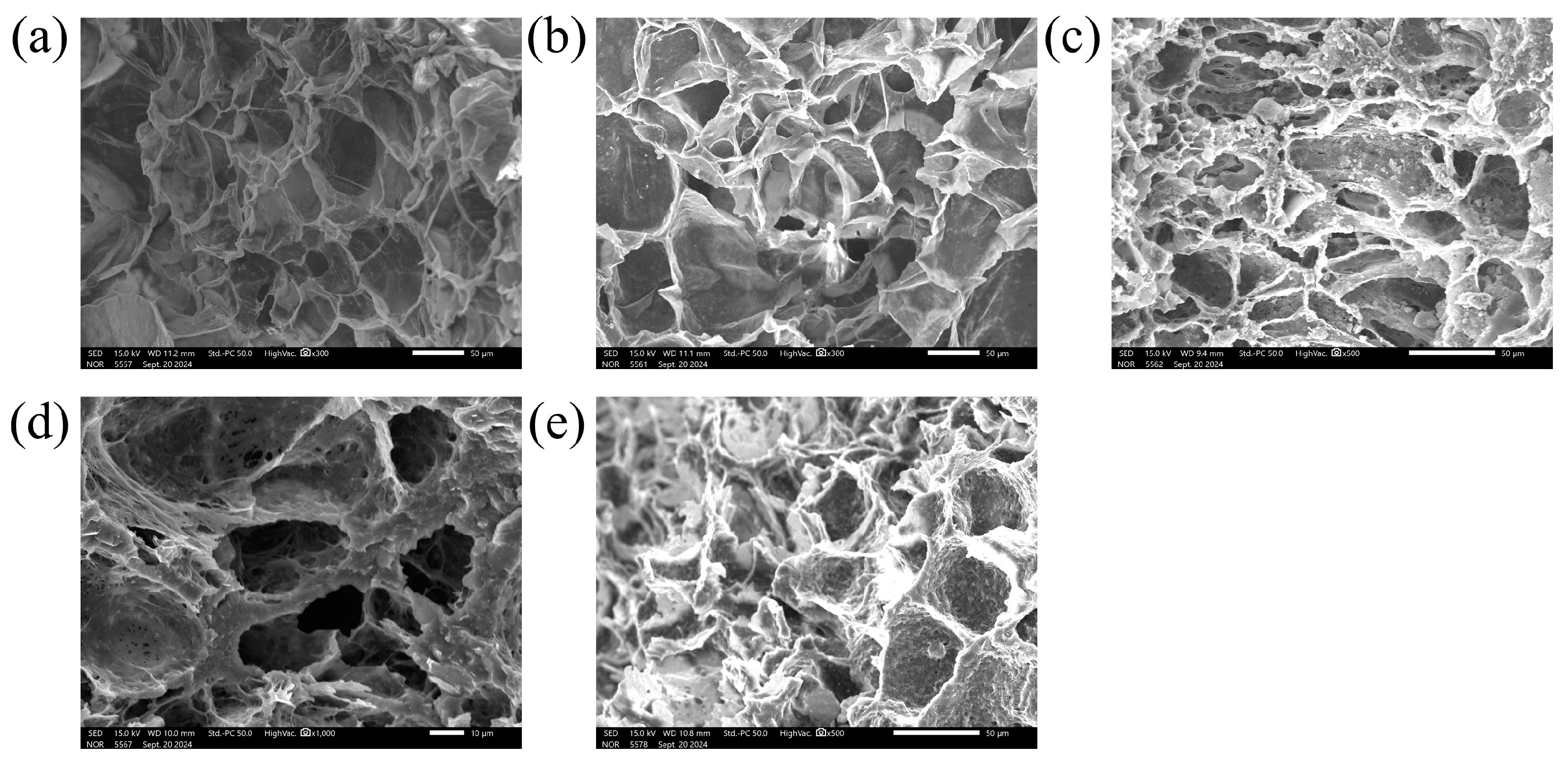 Polymers 16 02723 g004