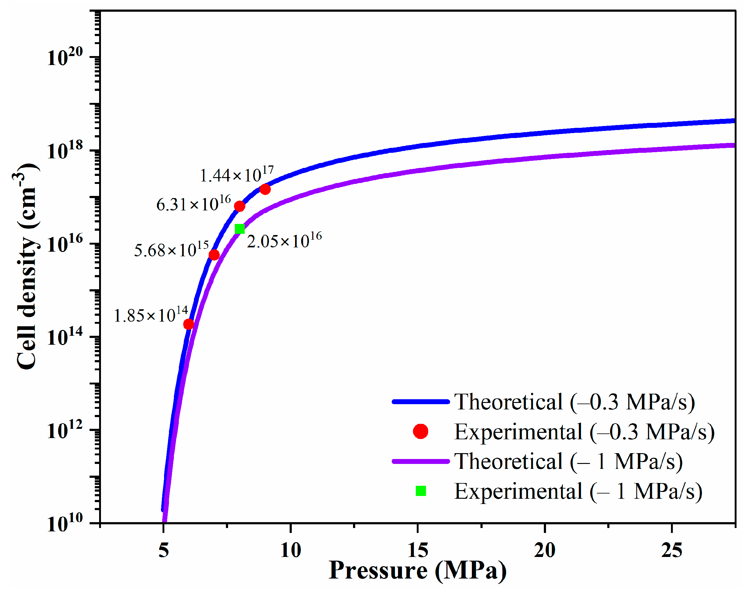 Polymers 16 02723 g005