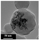 Polymers 16 02728 i002