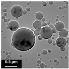 Polymers 16 02728 i004