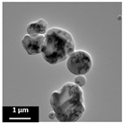 Polymers 16 02728 i005