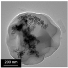 Polymers 16 02728 i006