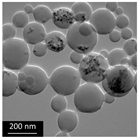 Polymers 16 02728 i007