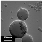 Polymers 16 02728 i009