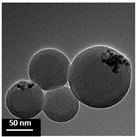 Polymers 16 02728 i010